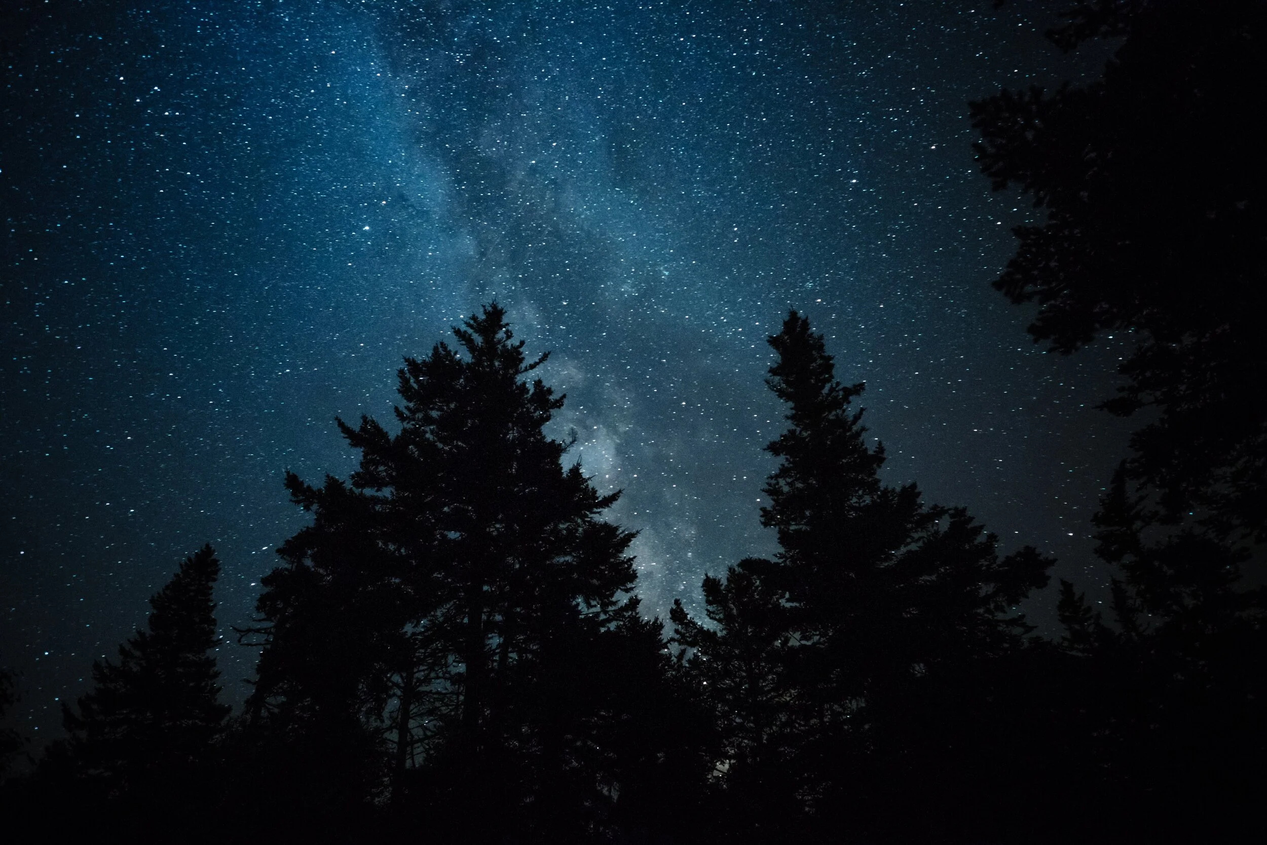 Feather Springs Campground & RV Park, Greenville CA