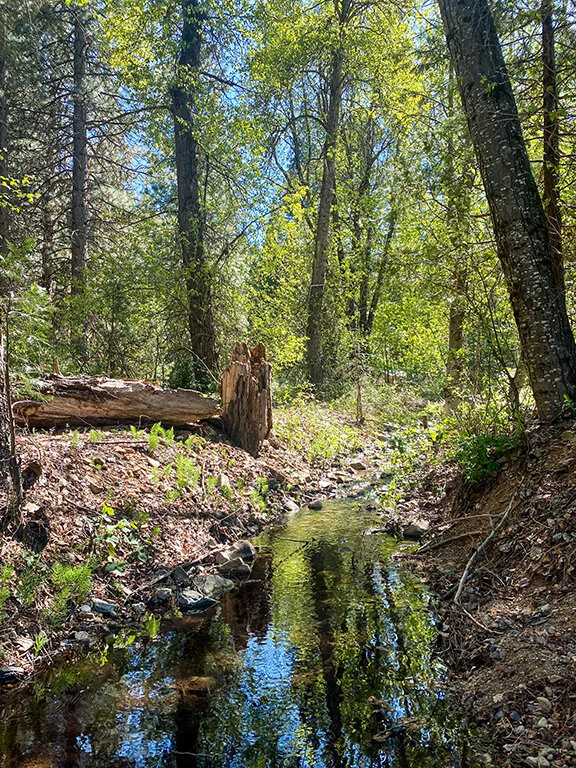 Feather Springs Campground & RV Park, Greenville CA