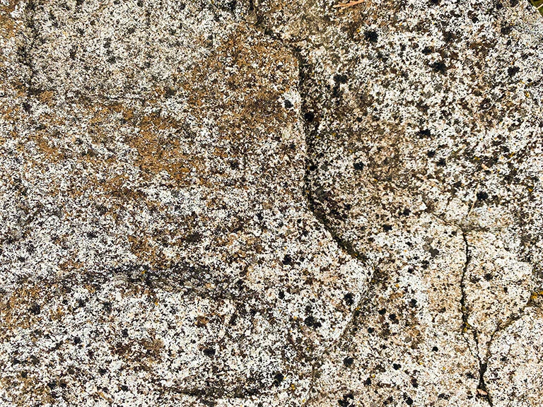 Feather Springs Campground & RV Park, Greenville CA