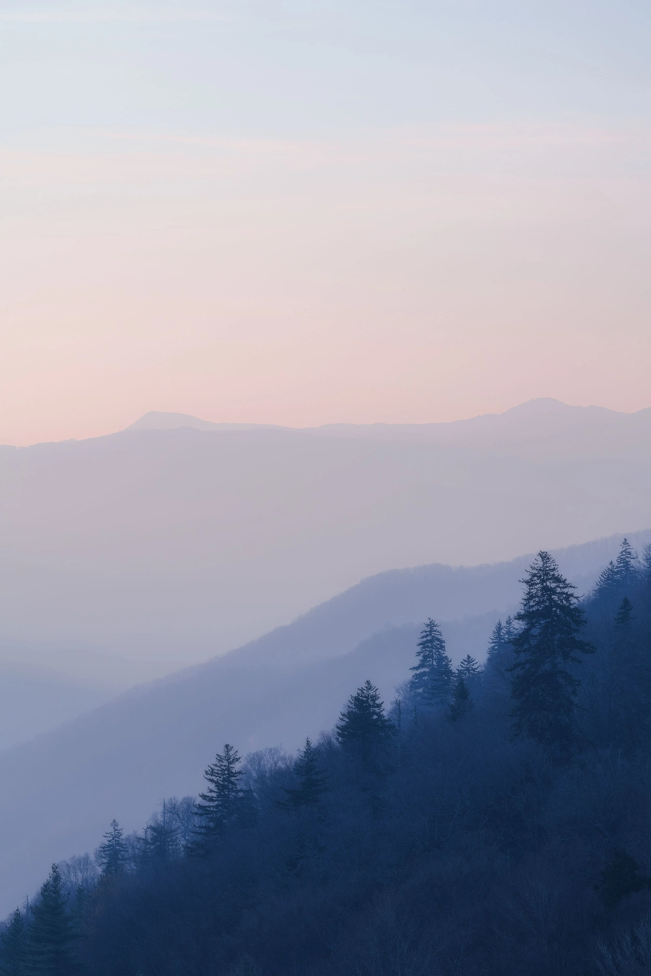 Sunrise Silhouette in the Smoky Mountains: Misty Pine Trees and Ridges
  Atmospheric, Golden Hour, Spring, Tree, Abstract  
