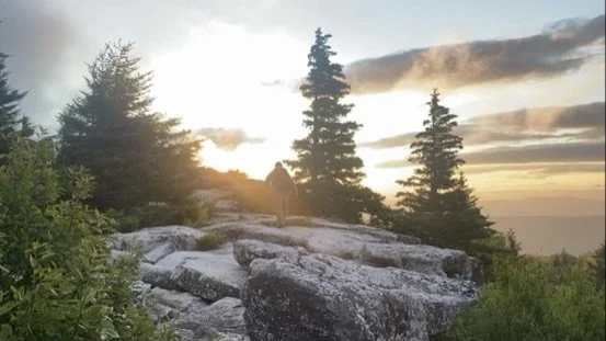 Sunset over a rocky hillside with pine trees and a cloudy sky.