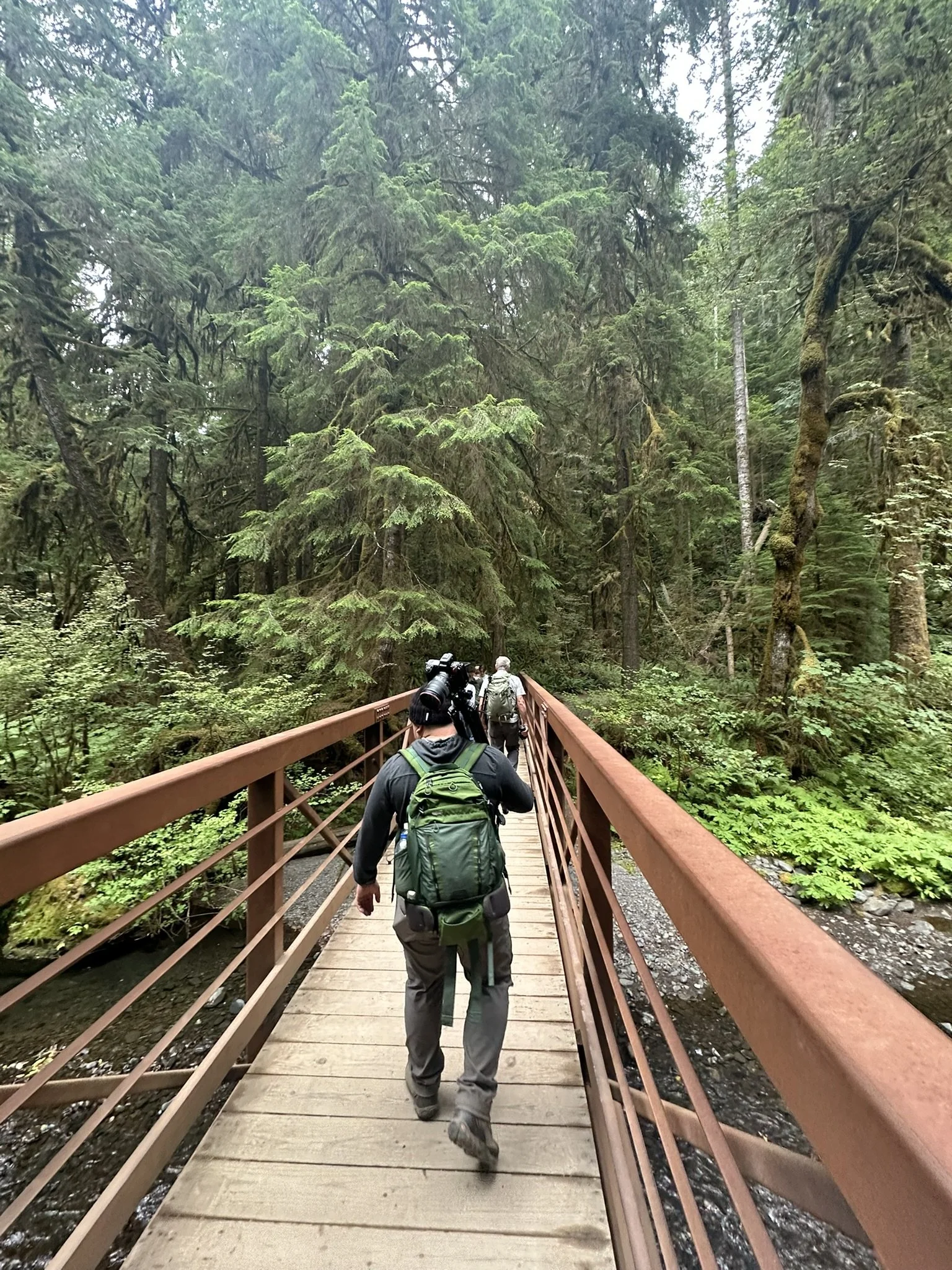 People hiking across a wooden bridge in a lush, green forest.