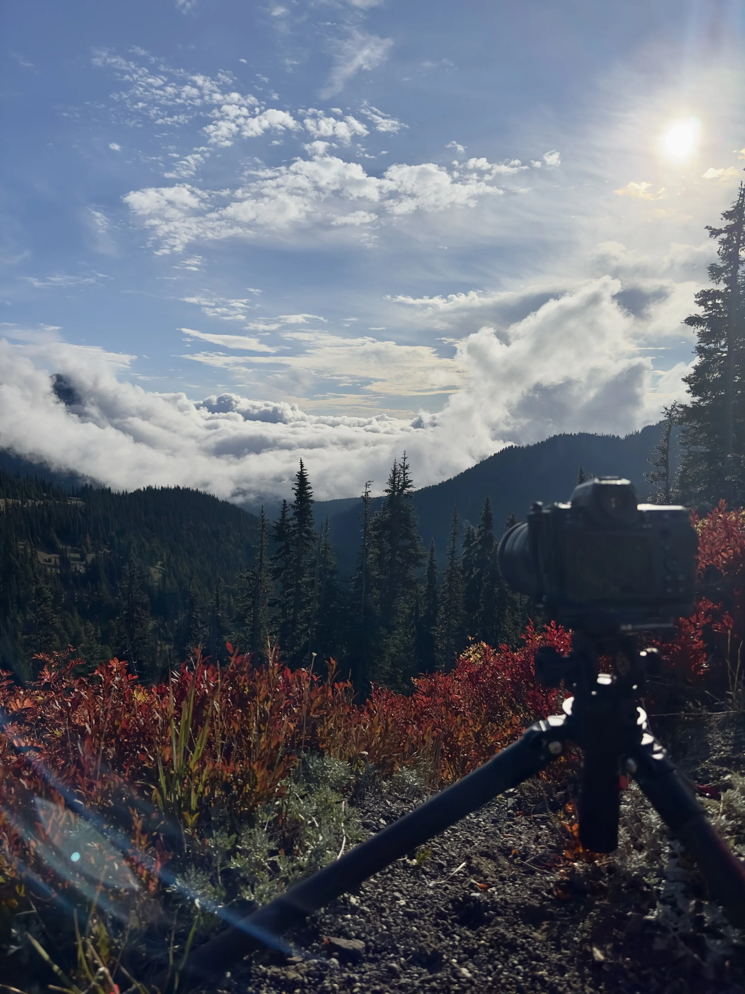 Camera on tripod capturing scenic view of mountains, forest, clouds, and sky with sunlight.