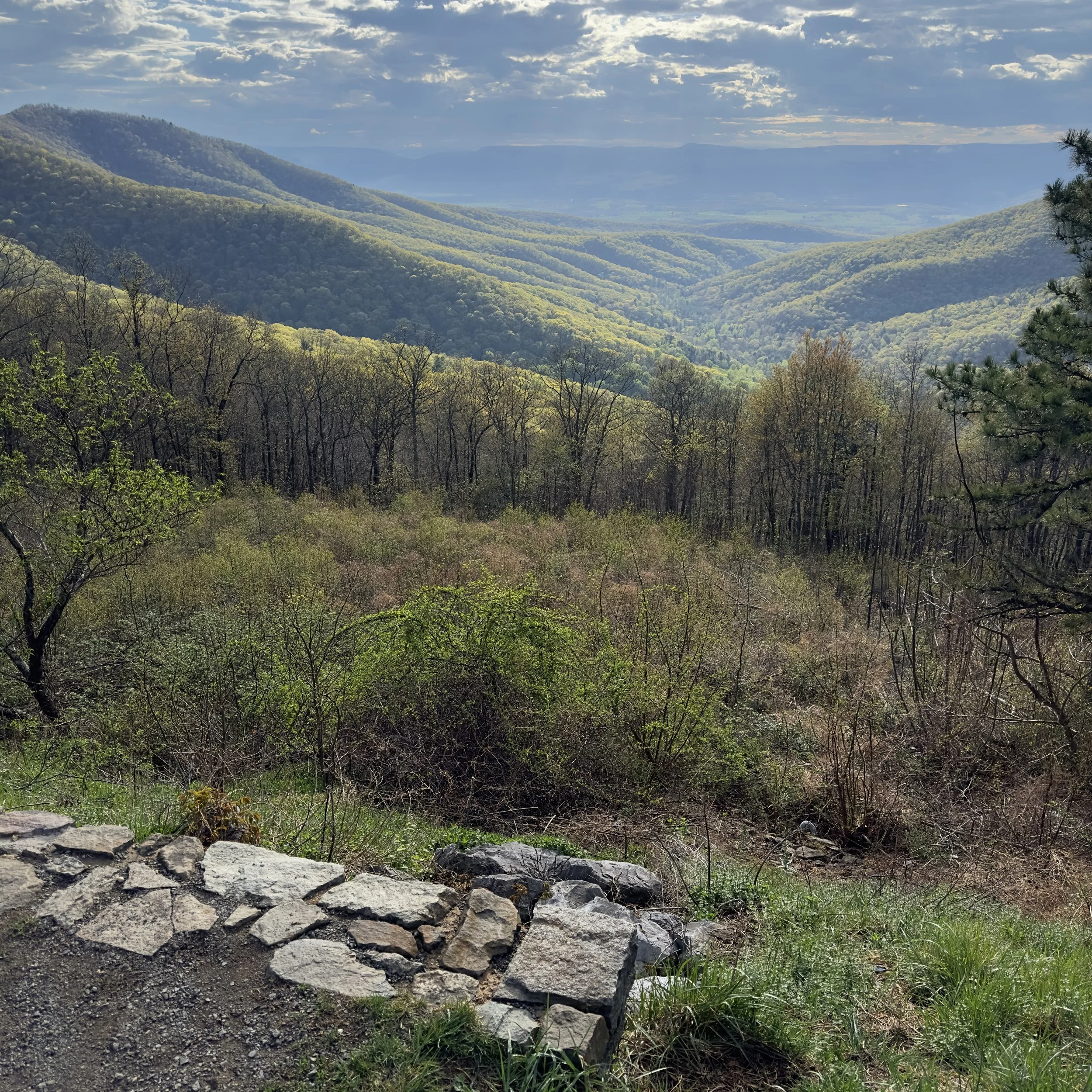 Scenic view of lush green mountains with layers of forest, under partly cloudy sky.