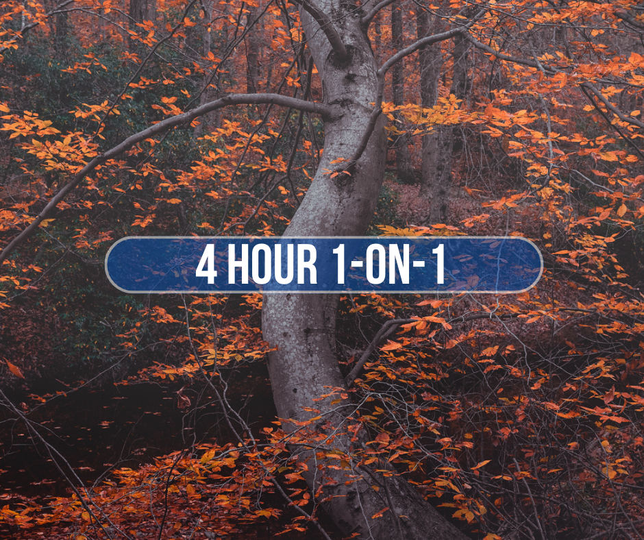 Image of a serene forest scene with orange and brown autumn leaves on trees and a calm stream. Overlay text in a blue oval states '4 Hour 1-on-1'.