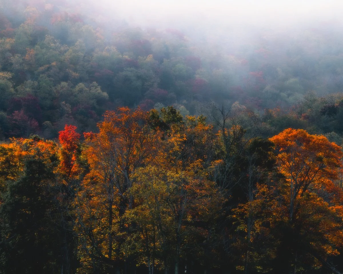 Social Media_1200x960_U_80_Facebook.jpg