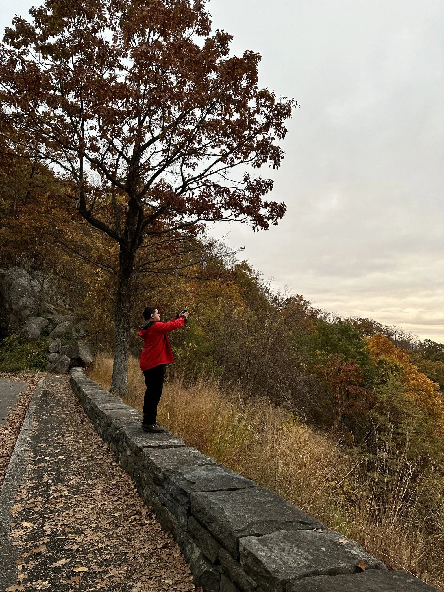 A person in a red jacket standing on a stone ledge beside an autumn forest, taking a photo of the trees and sky with a smartphone under a cloudy sky.