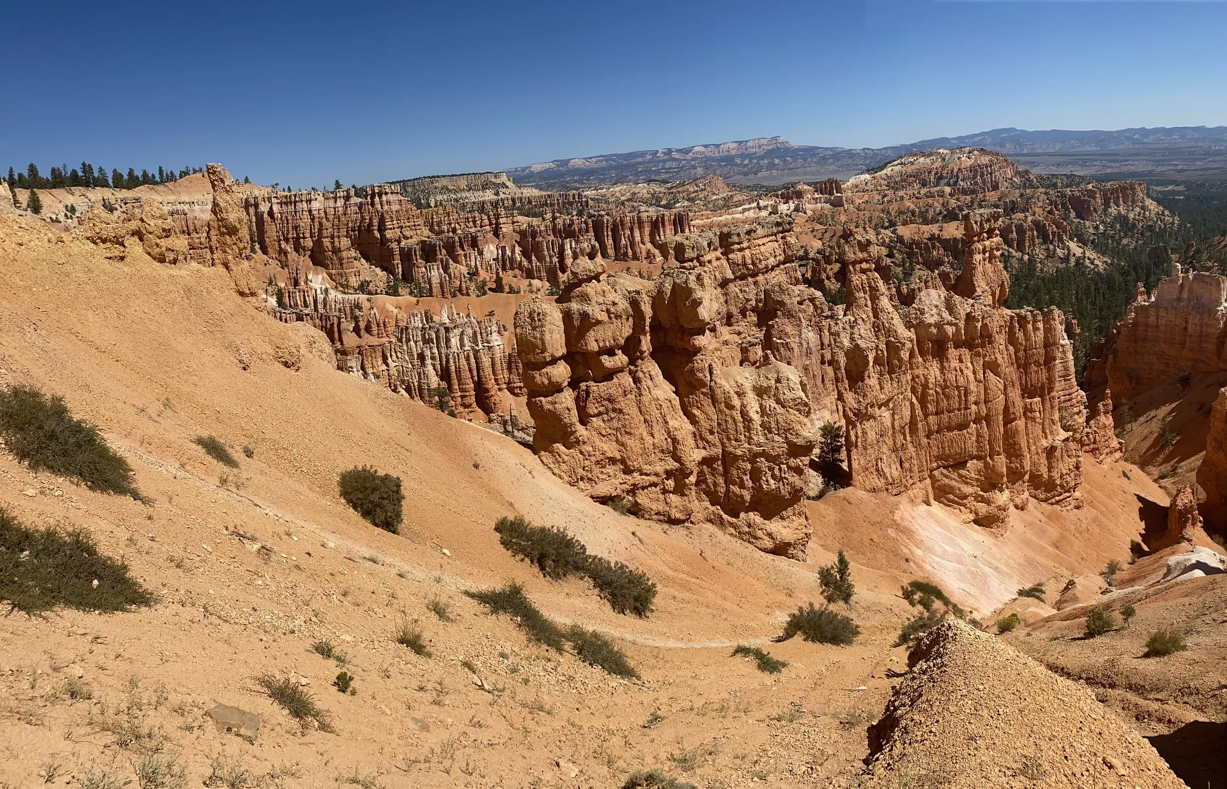 Breathtaking view of Bryce Canyon National Park with orange and pink hoodoos, rugged cliffs, sparse desert vegetation, and distant mountain range under a clear blue sky.