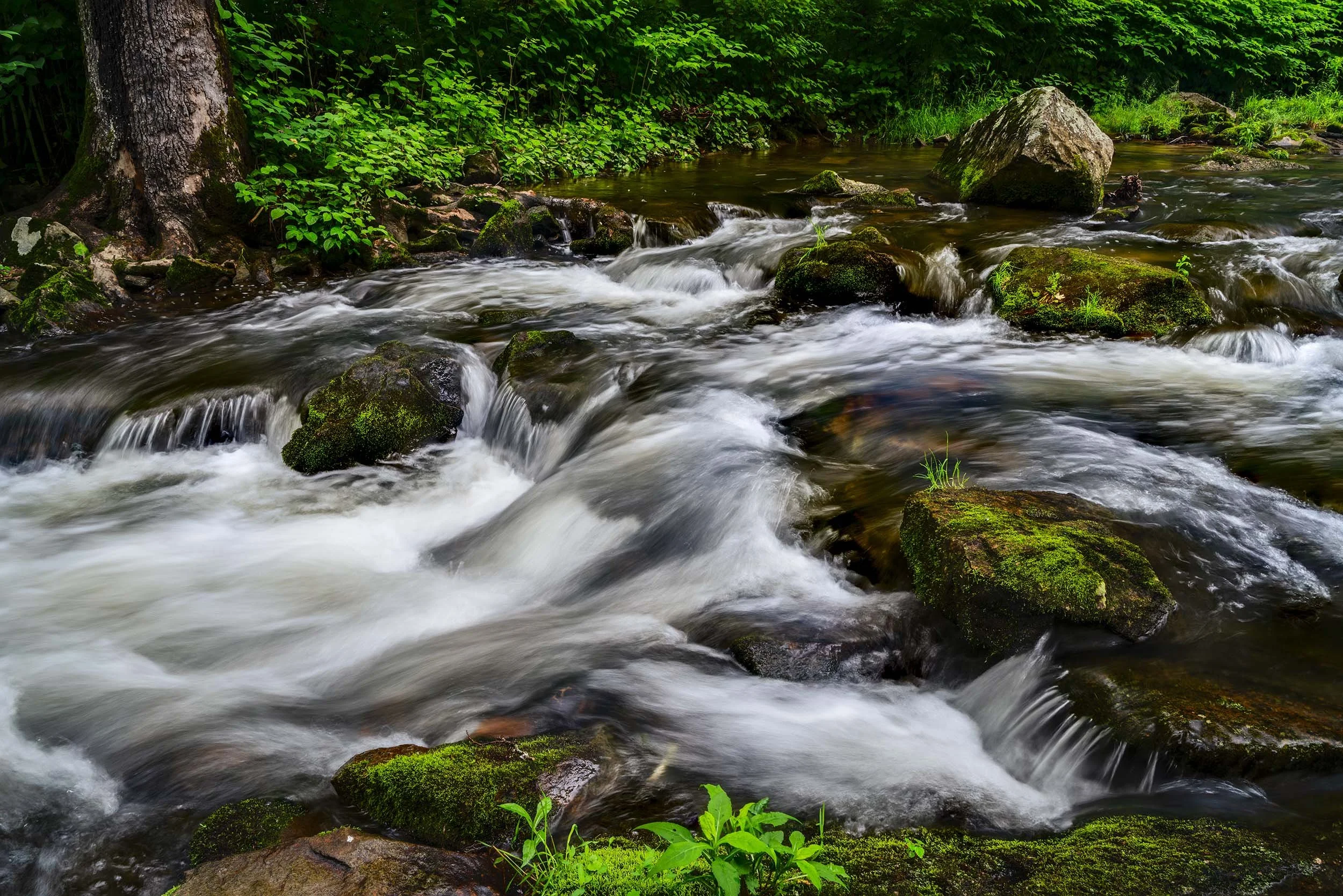 A serene escape at Hawks Nest State Park, West Virginia   Waterfalls  