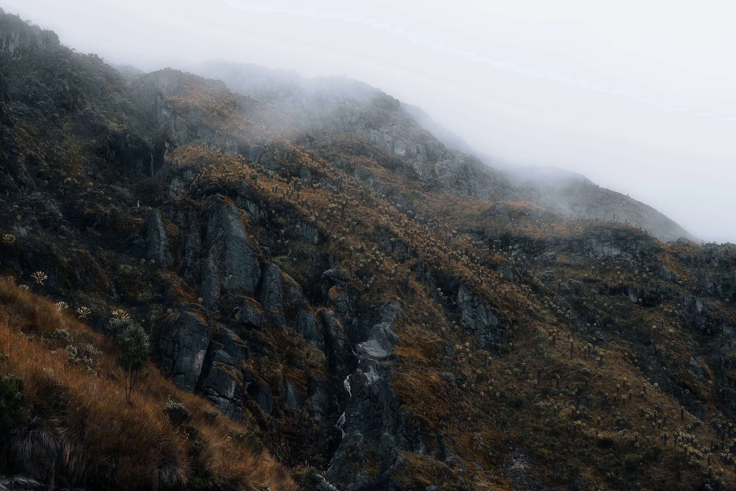 Andes Mountains, Colombia: misty mountain landscape, rugged terrain, natural beauty.
  Atmospheric, Cold, Intimate Landscapes  