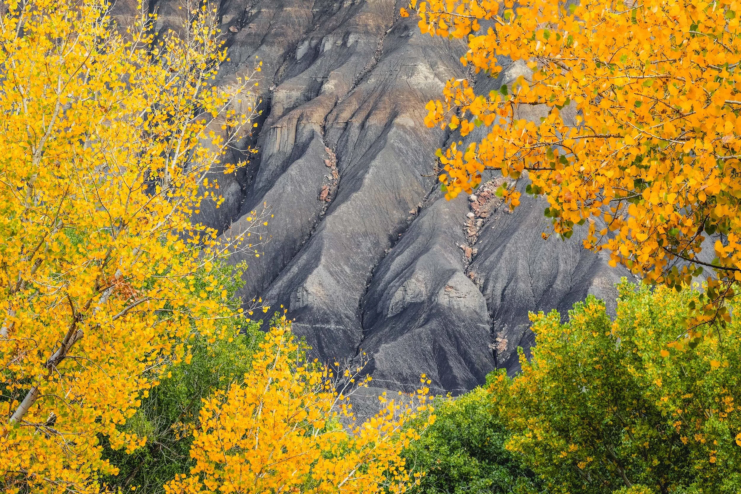 Vibrant autumn yellow leaves frame the dramatic eroded slopes of the Blue Hills in Utah    Autumn, Intimate Landscapes  