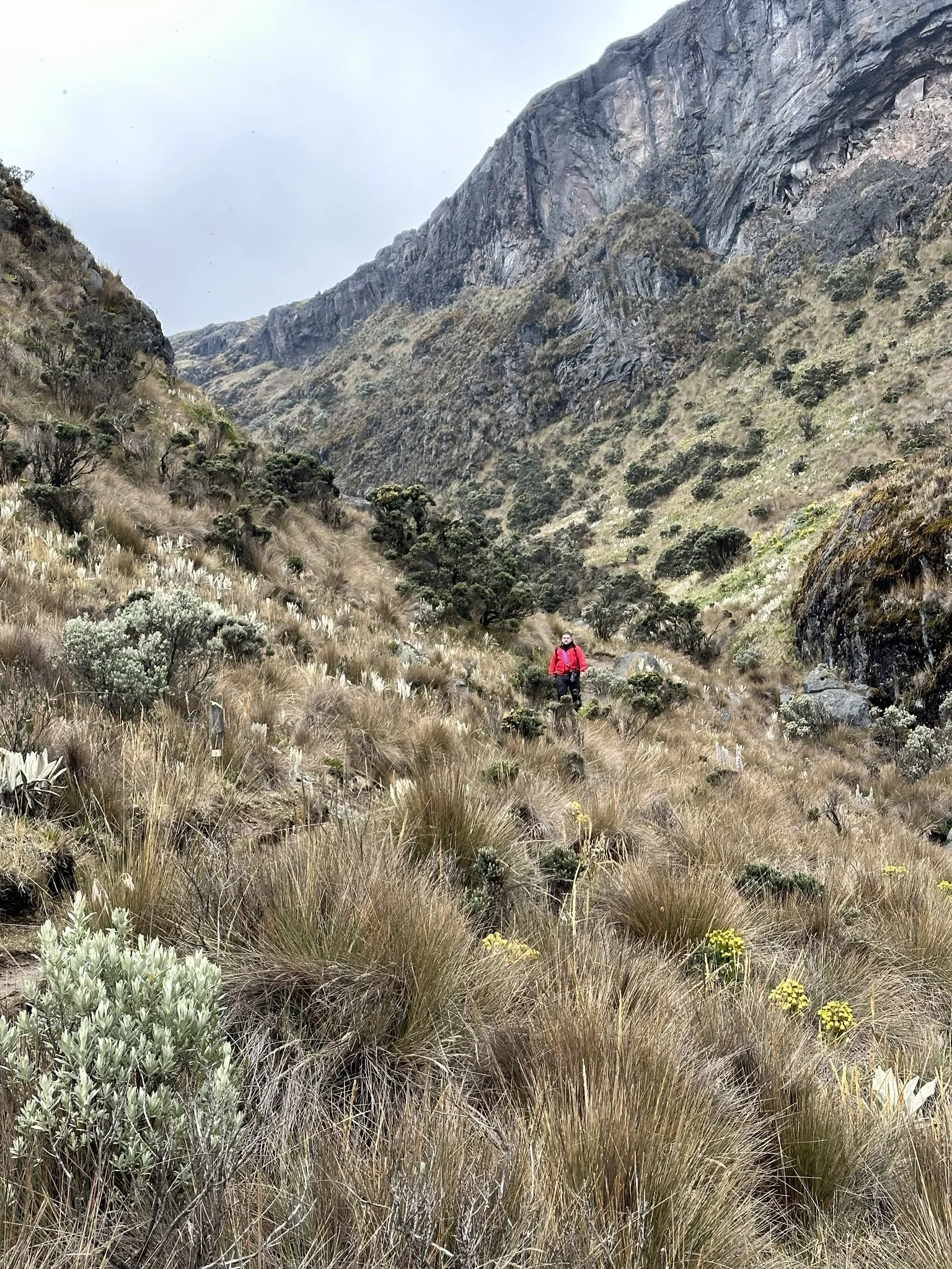 A person in a red jacket hiking in a mountainous area with dry grass, shrubs, and large rocky cliffs in the background.