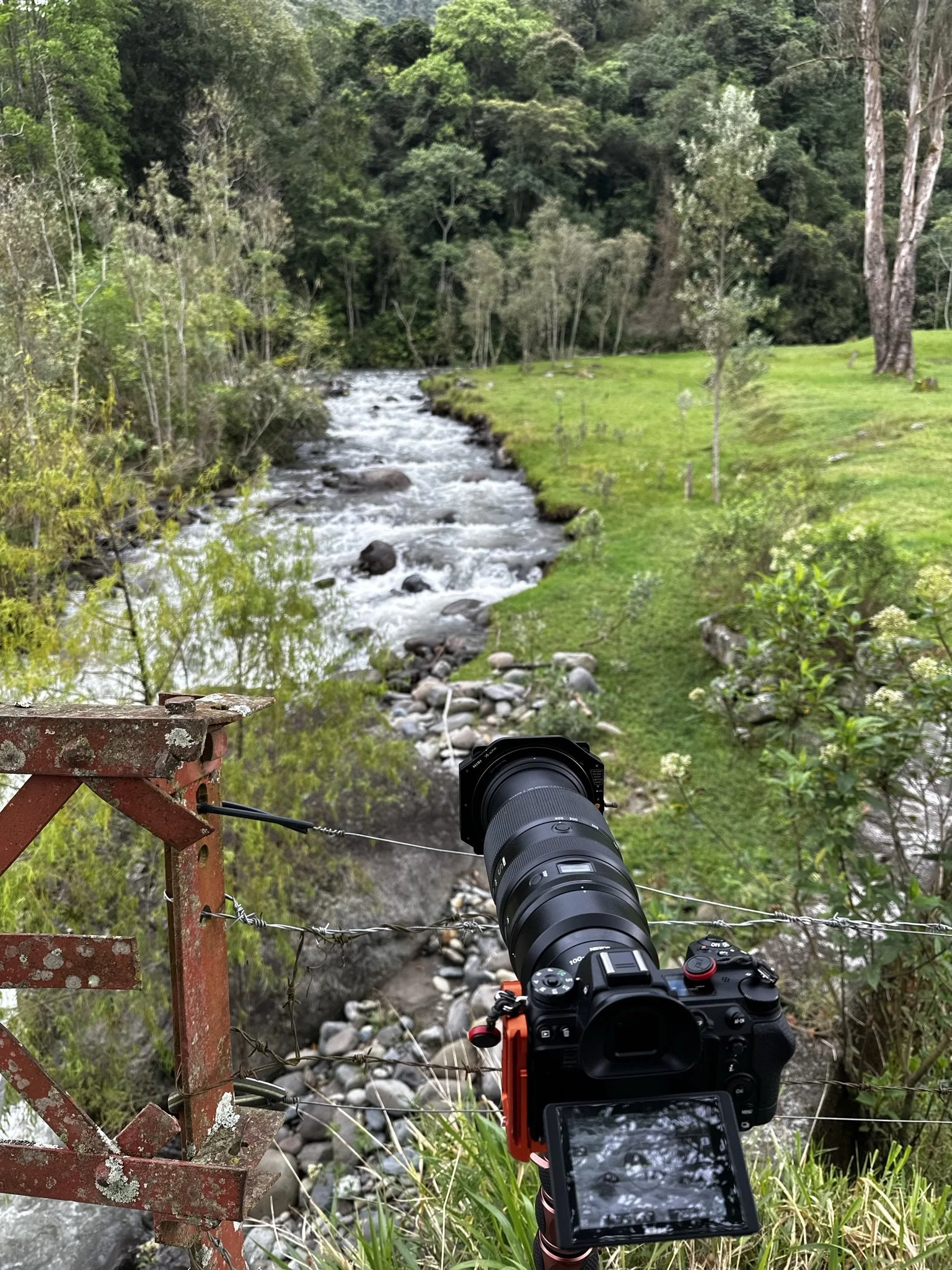A camera mounted on a tripod capturing a scenic view of a flowing creek in a lush, green forested area.