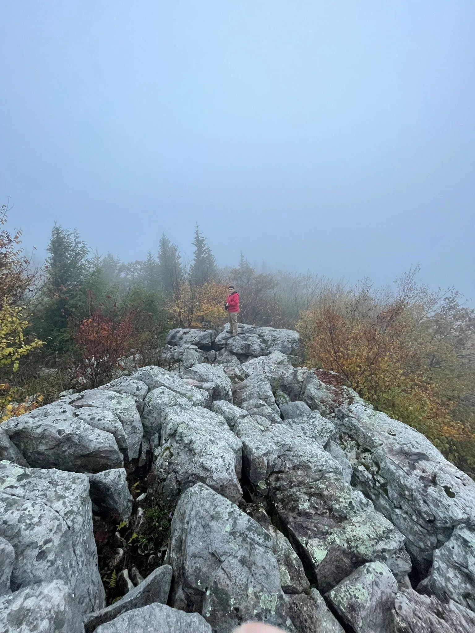 Person wearing a pink jacket standing on large rocks on a foggy mountain trail with trees and fall foliage in the background.