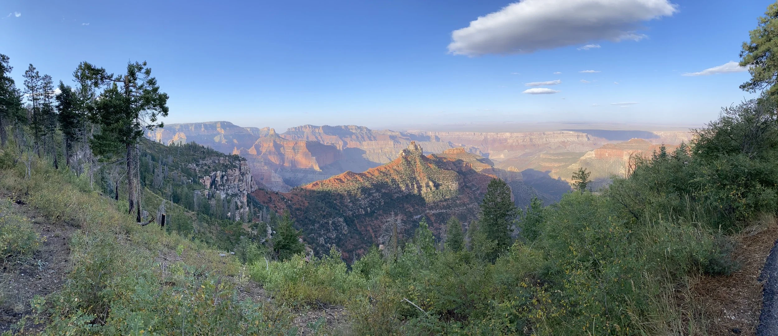 Panoramic view of the Grand Canyon with layered rock formations, green trees on the foreground, and a partly cloudy sky.