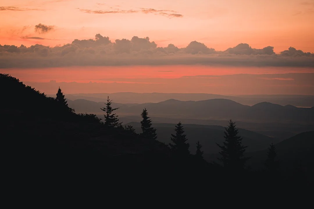 Stunning sunrise over the rolling hills of Dolly Sods, West Virginia, capturing the serene morning light.
  Golden Hour, Tree  