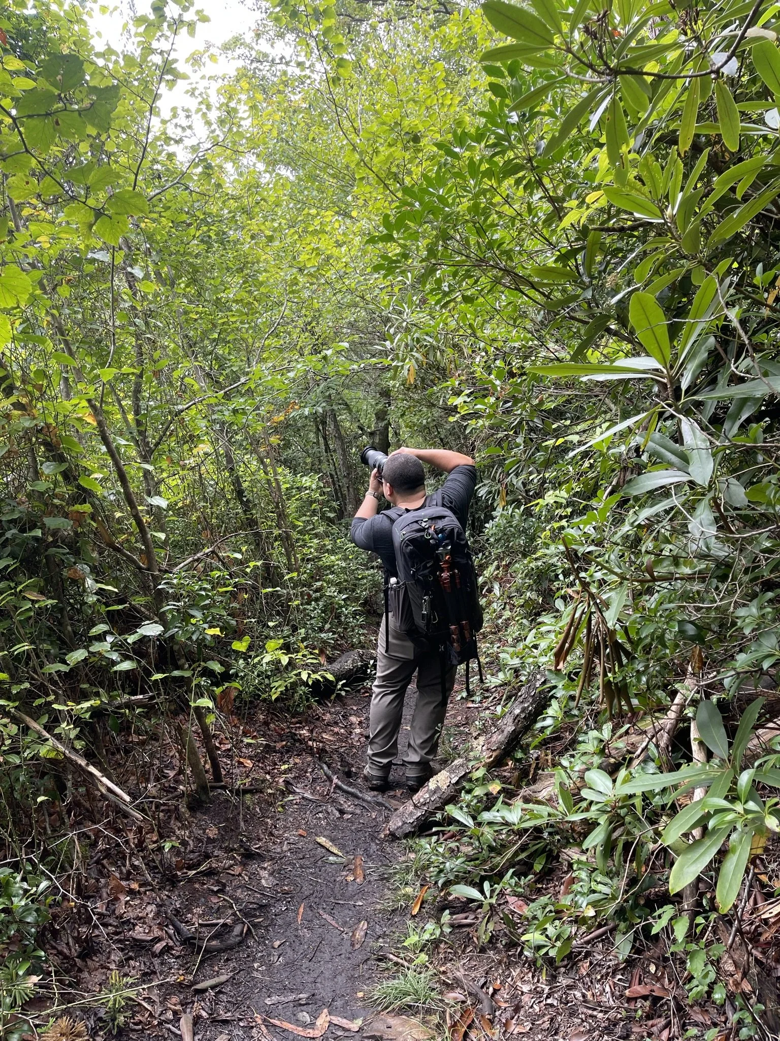 A man with a backpack taking a photograph with a camera along a narrow, muddy trail through lush green forest.