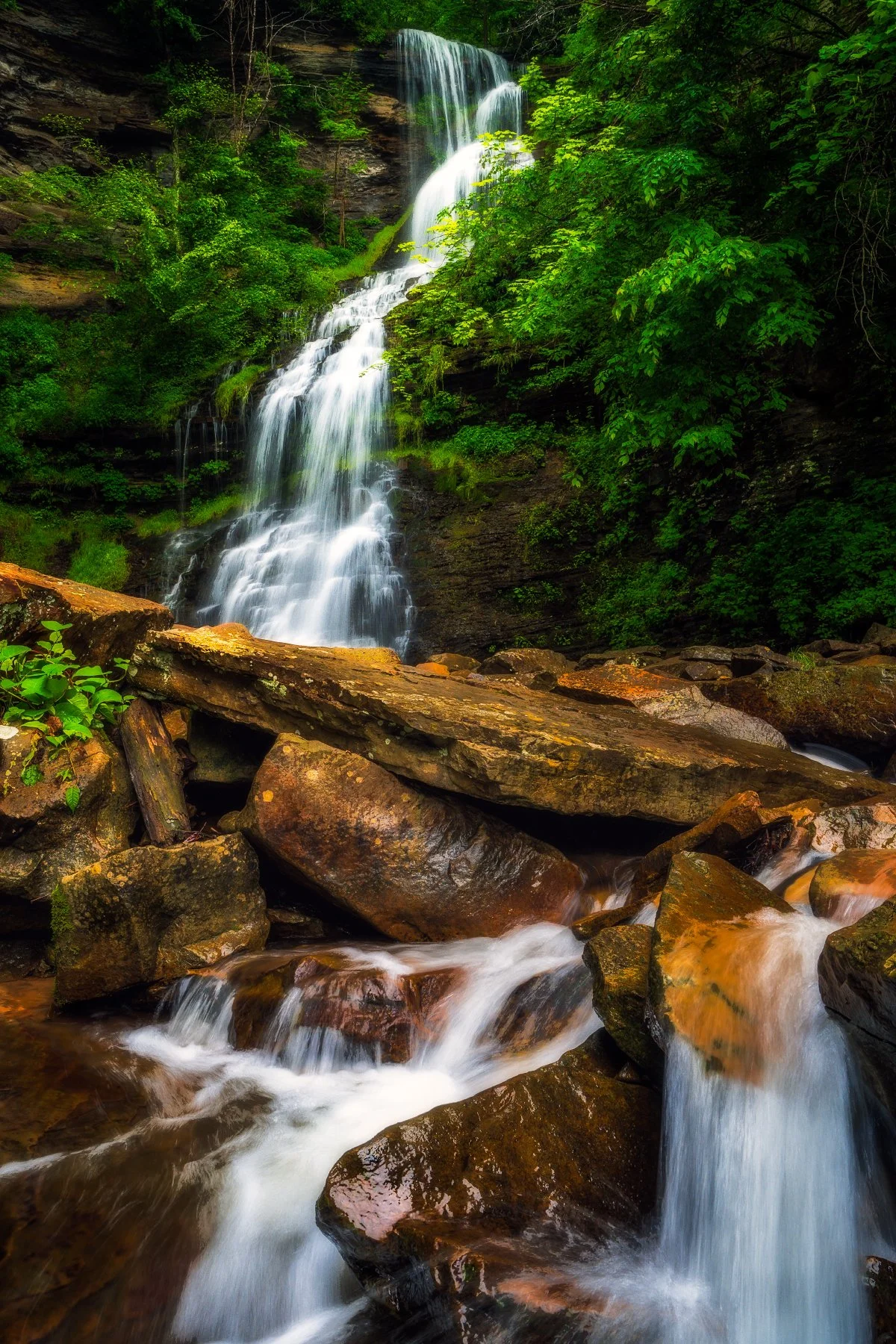 Cathedral Falls in West Virginia: Majestic Waterfall Photography, Nature Lover's Paradise, Stunning Cascading Waterfall in Lush Greenery.
  Waterfalls  