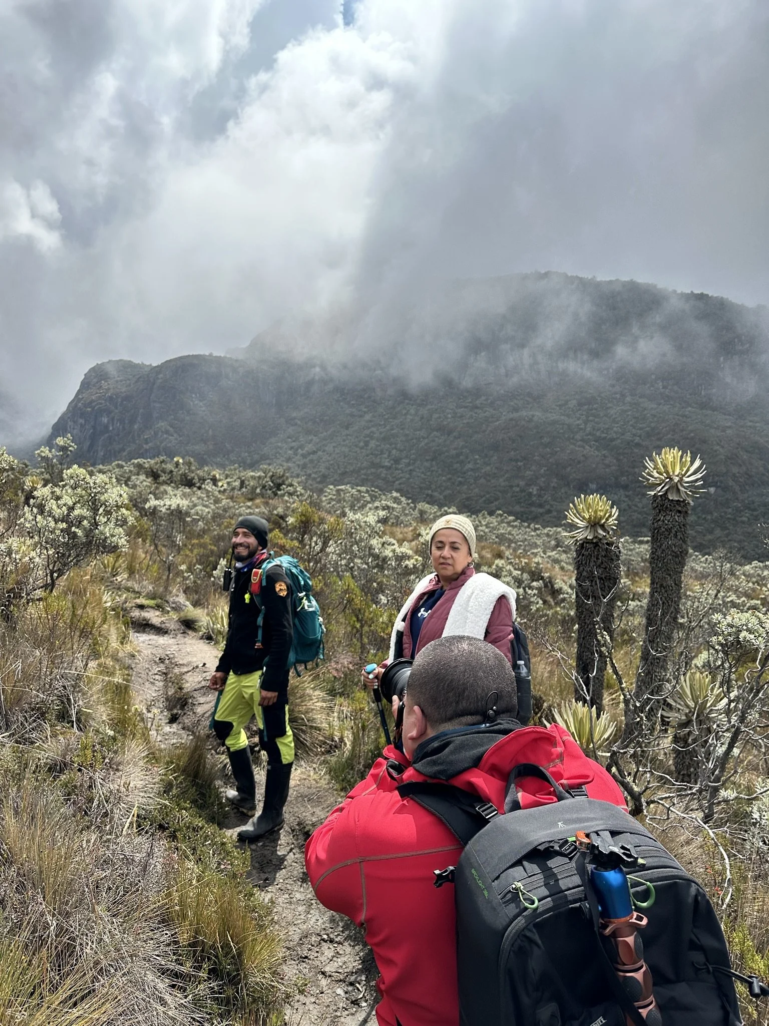 Three hikers on a mountain trail surrounded by vegetation, with mountains and cloudy sky in the background.