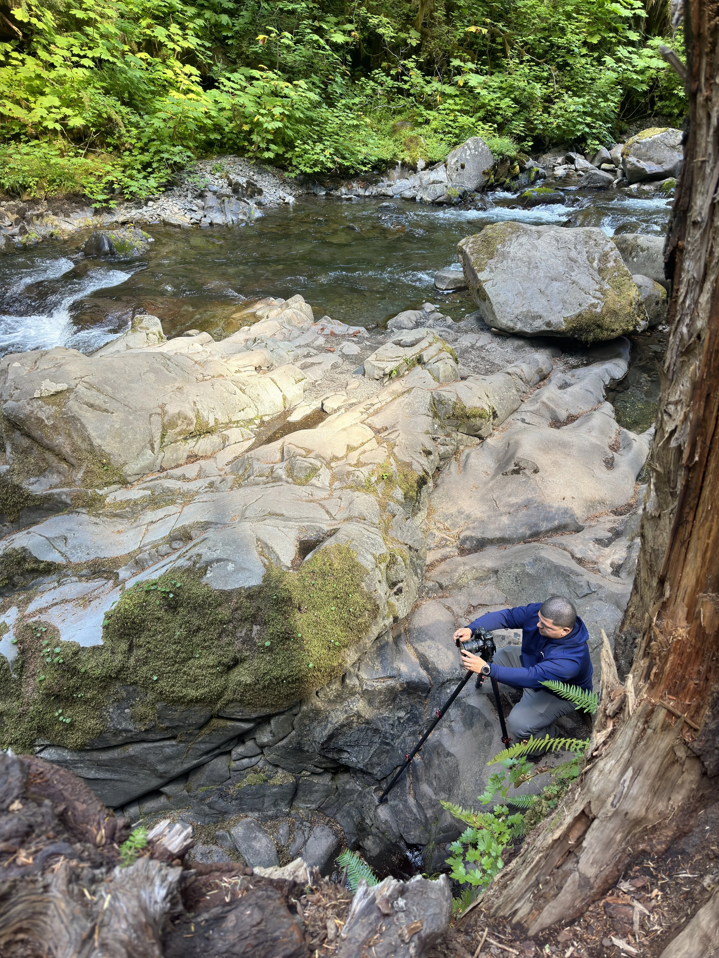 A man in a blue jacket is kneeling on rocks next to a stream, adjusting a camera on a tripod amidst a forested area with green foliage and moss-covered rocks.