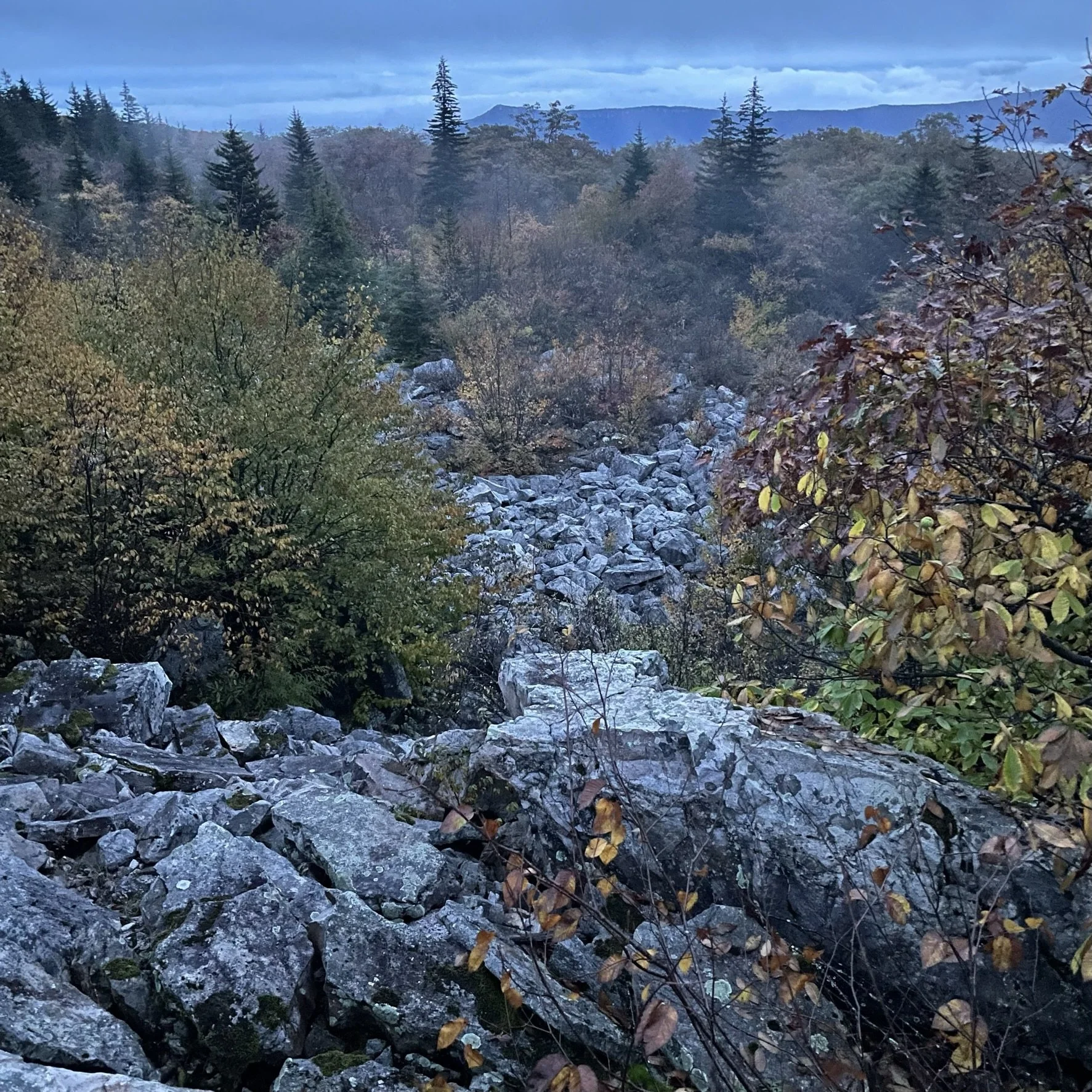 A rocky landscape with dense trees and mountains in the background, under a cloudy sky.