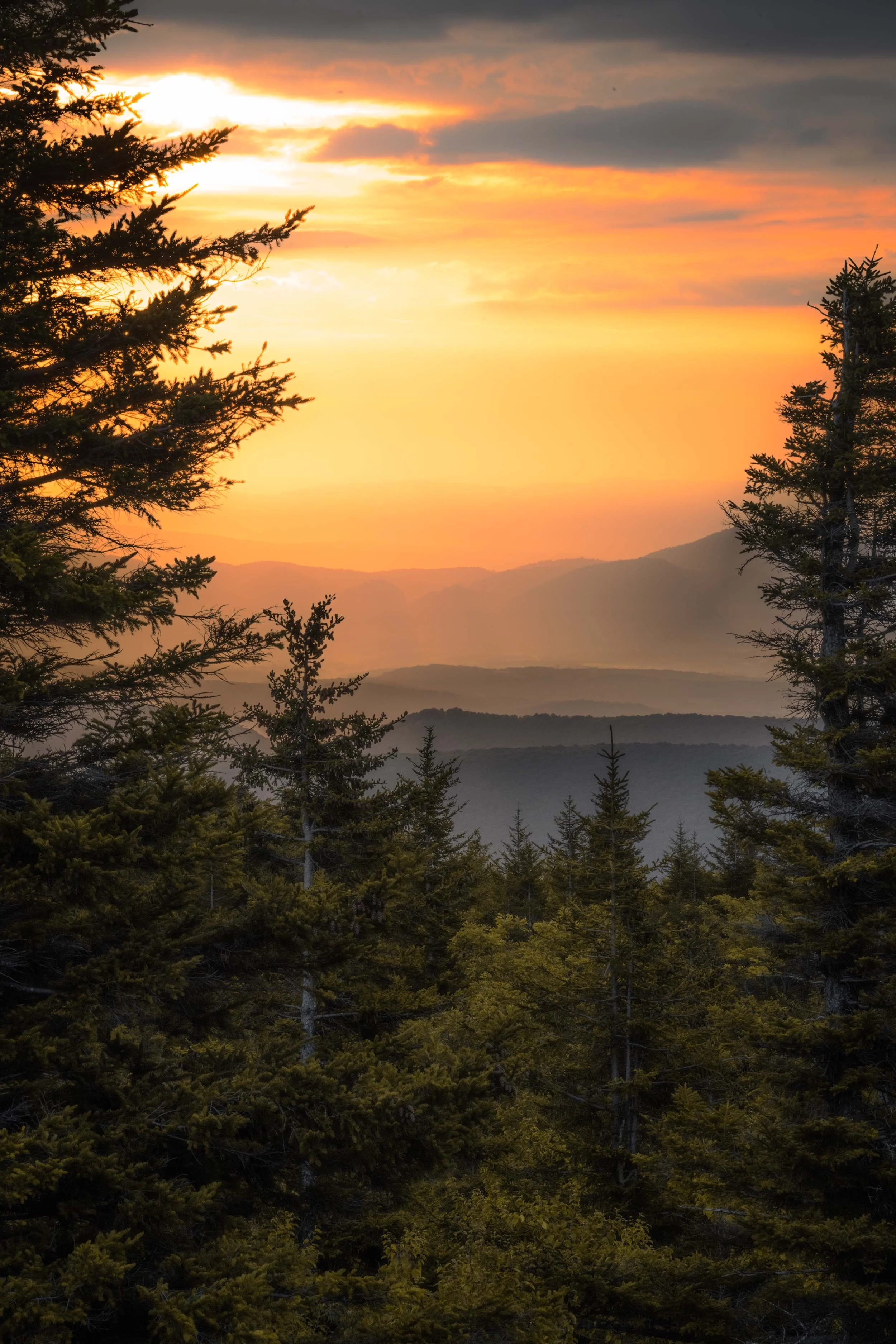 A misty sunrise over Dolly Sods, West Virginia, highlighting the serene Appalachian landscape.
  Atmospheric, Golden Hour, Light  