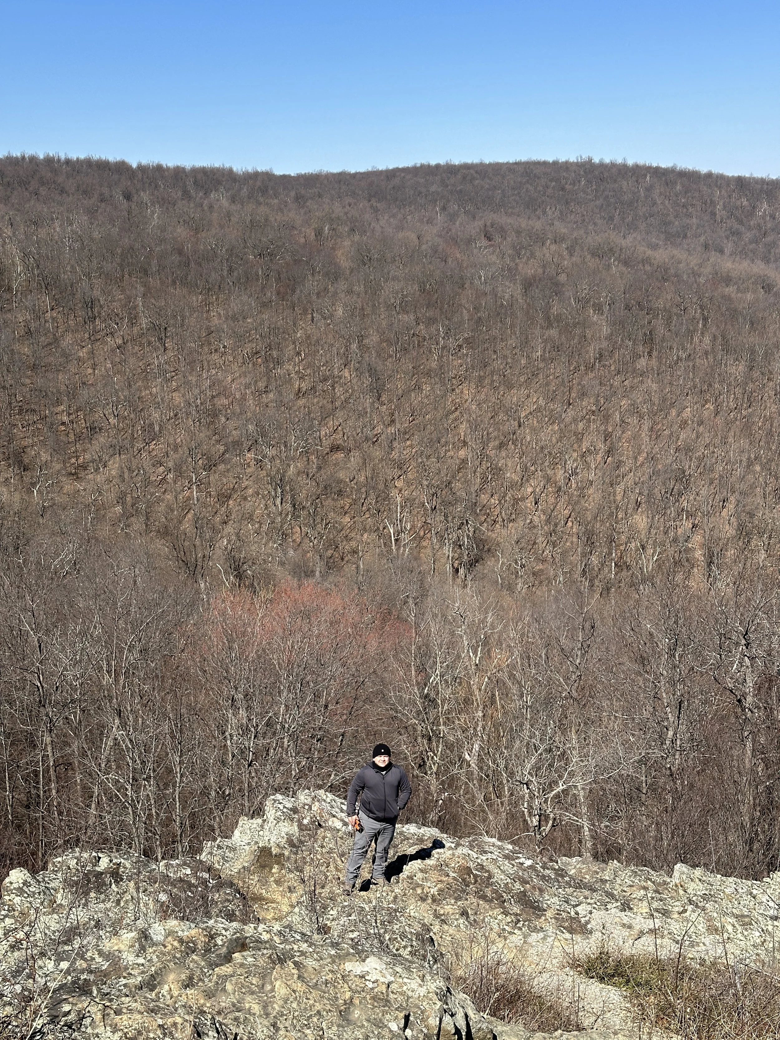 A person wearing a black hat, dark jacket, and gray pants standing on a rocky outcrop in a barren woodland landscape with leafless trees, under a clear blue sky.