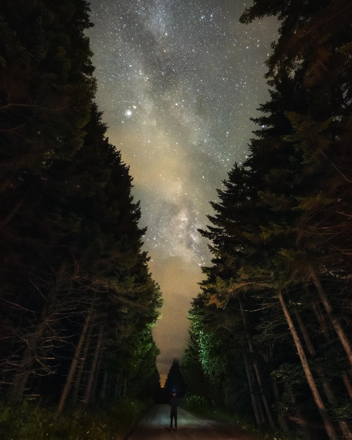 A person standing on a dirt road in a forest at night, looking up at the star-filled sky and the Milky Way galaxy above.