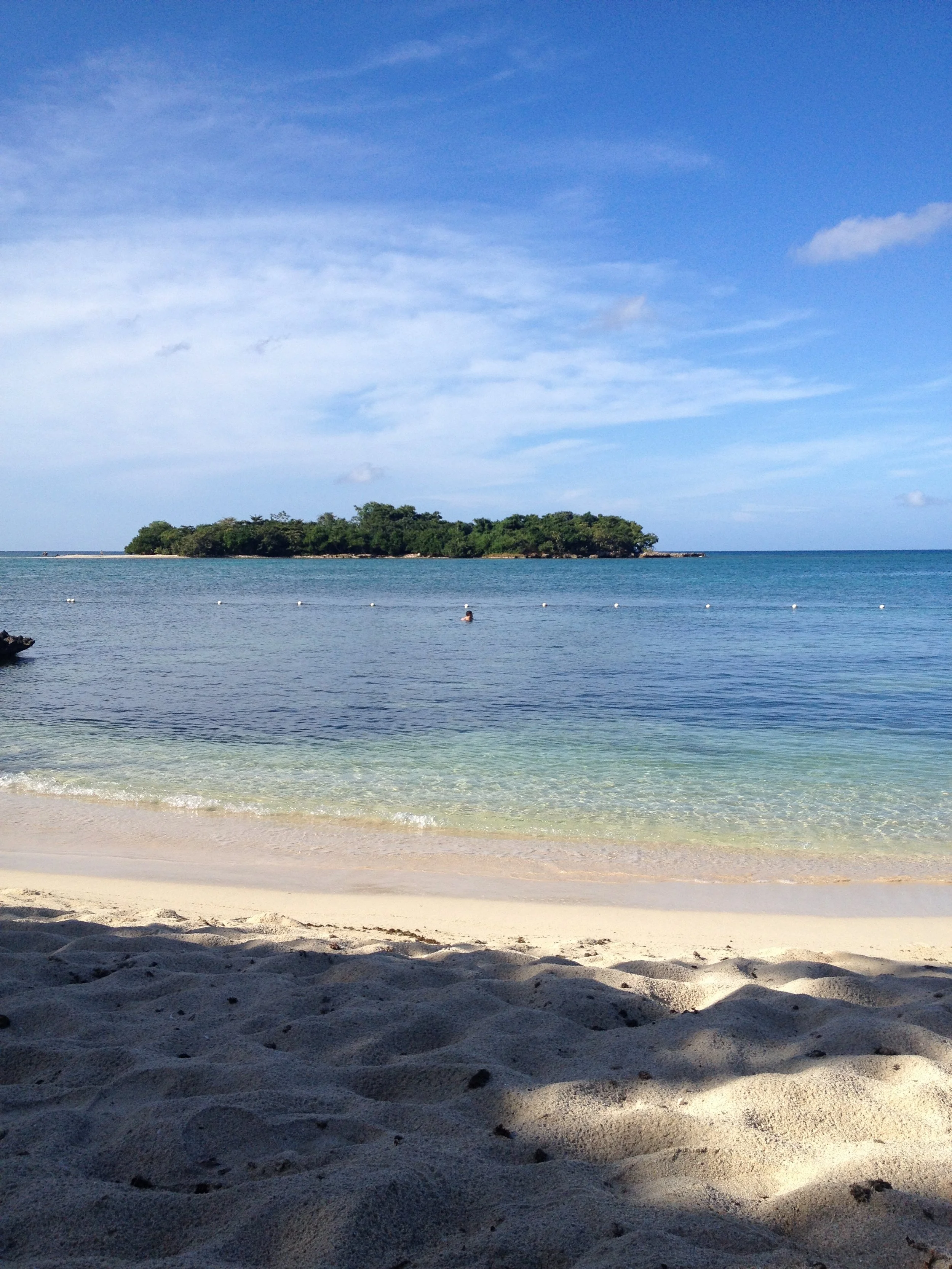 Beach with sandy shore in foreground, calm ocean water, and a small island covered in trees in the background under a blue sky with some clouds.