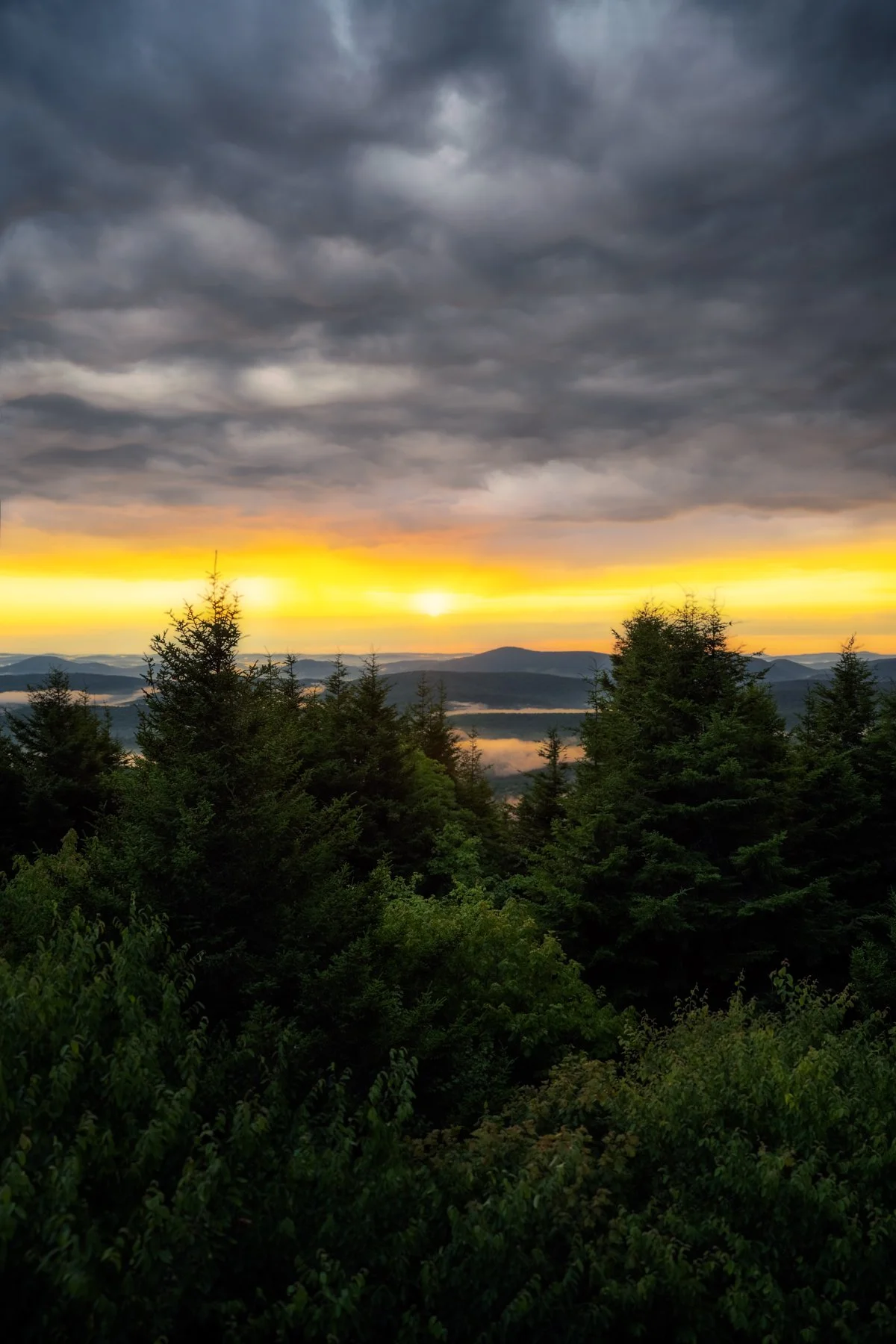 Sunset at Spruce Knob, West Virginia: breathtaking view, vibrant sky, lush forest.
  Golden Hour,Light  