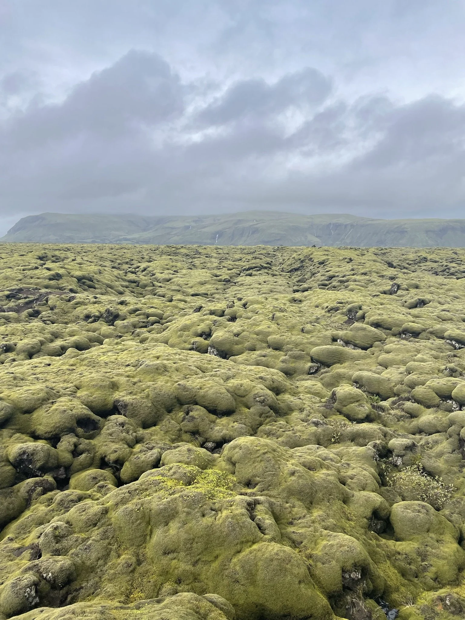 A moss-covered volcanic landscape with green, rounded rocks stretching to the horizon under a cloudy sky.