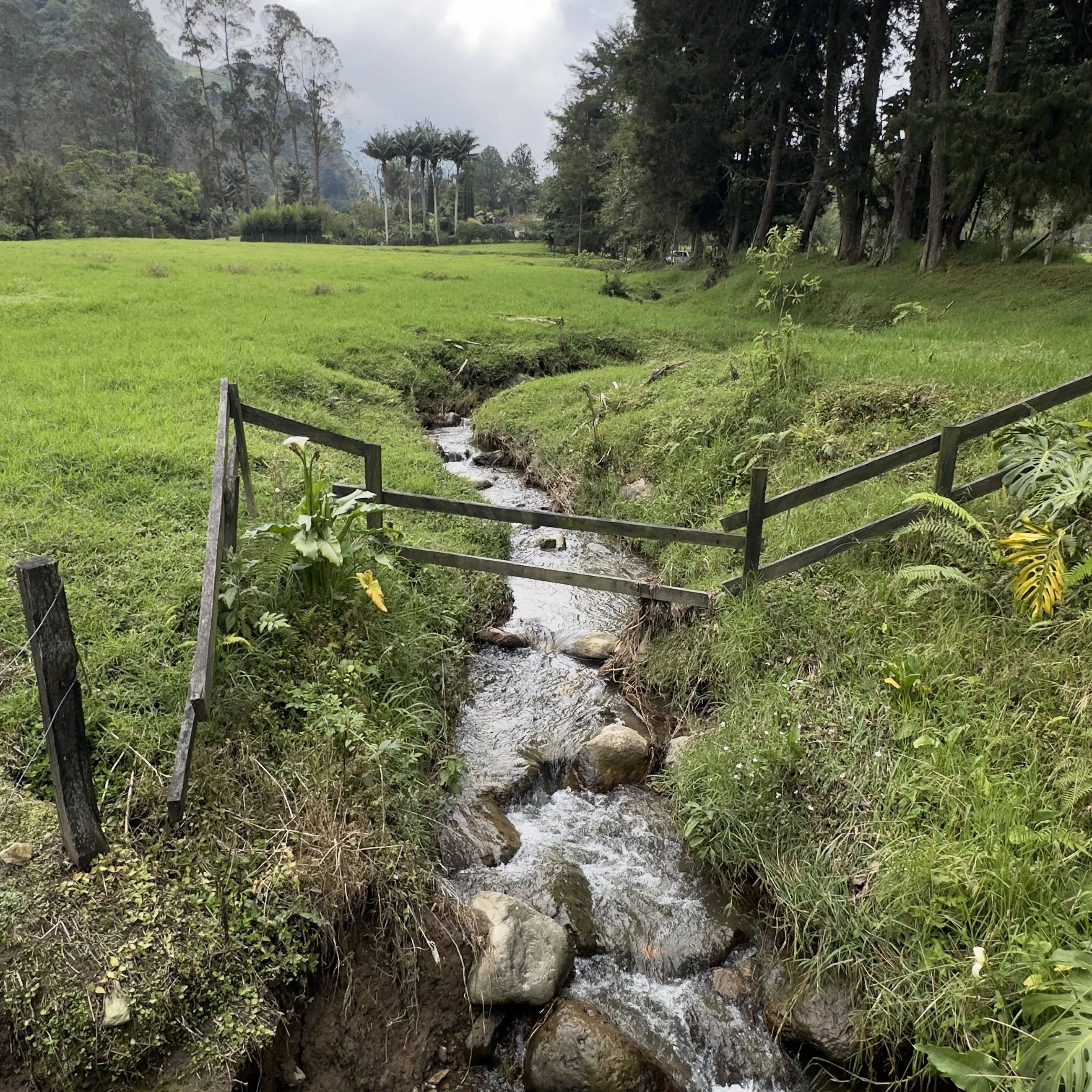 Small stream flowing through a green field with a broken wooden fence on either side and trees in the background.