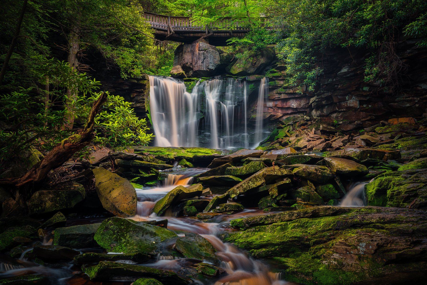 Beautiful waterfall in Blackwater Falls State Park, West Virginia, showcasing lush greenery and cascading waters.
  Waterfalls  
