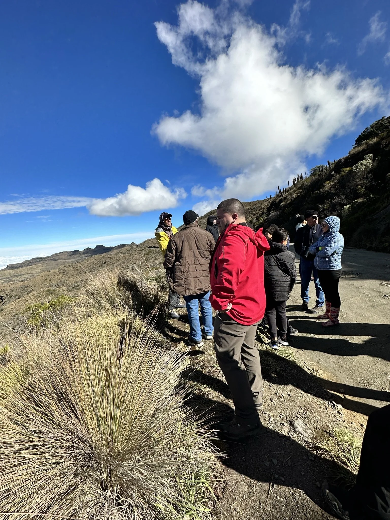 A group of people standing on a dirt trail along a hillside under a bright blue sky with fluffy white clouds.