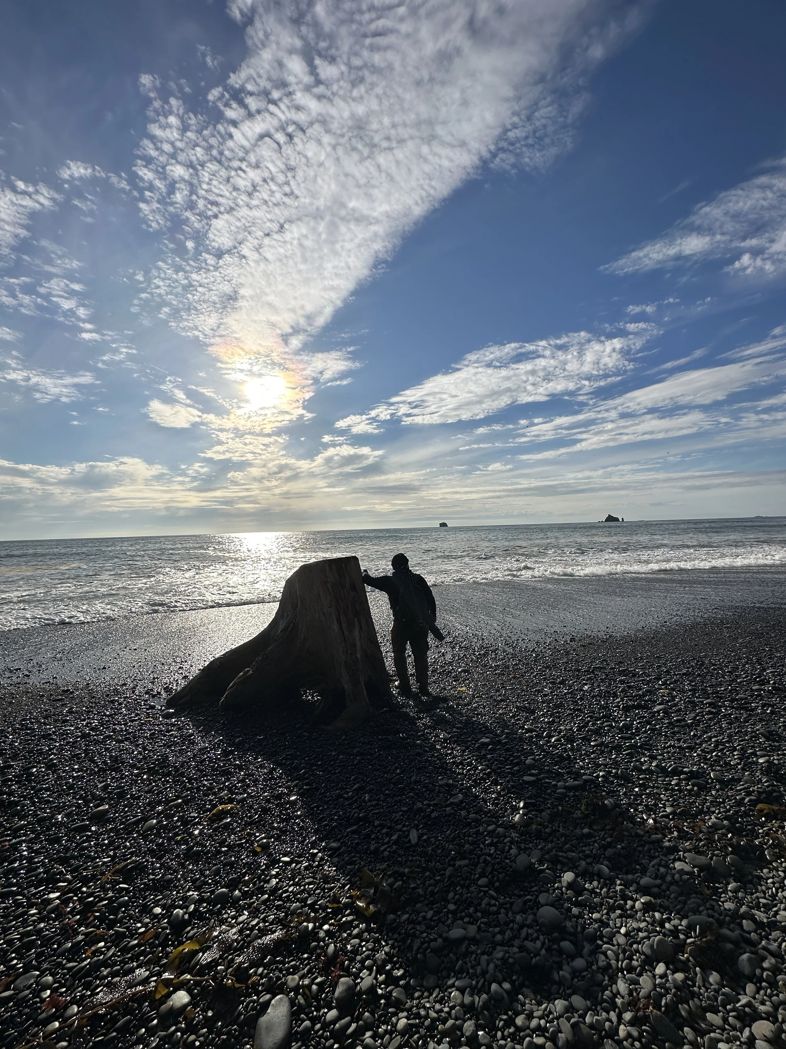 A person standing on a pebbled beach with a large tree stump, looking out towards the ocean during sunset or sunrise with partly cloudy sky.