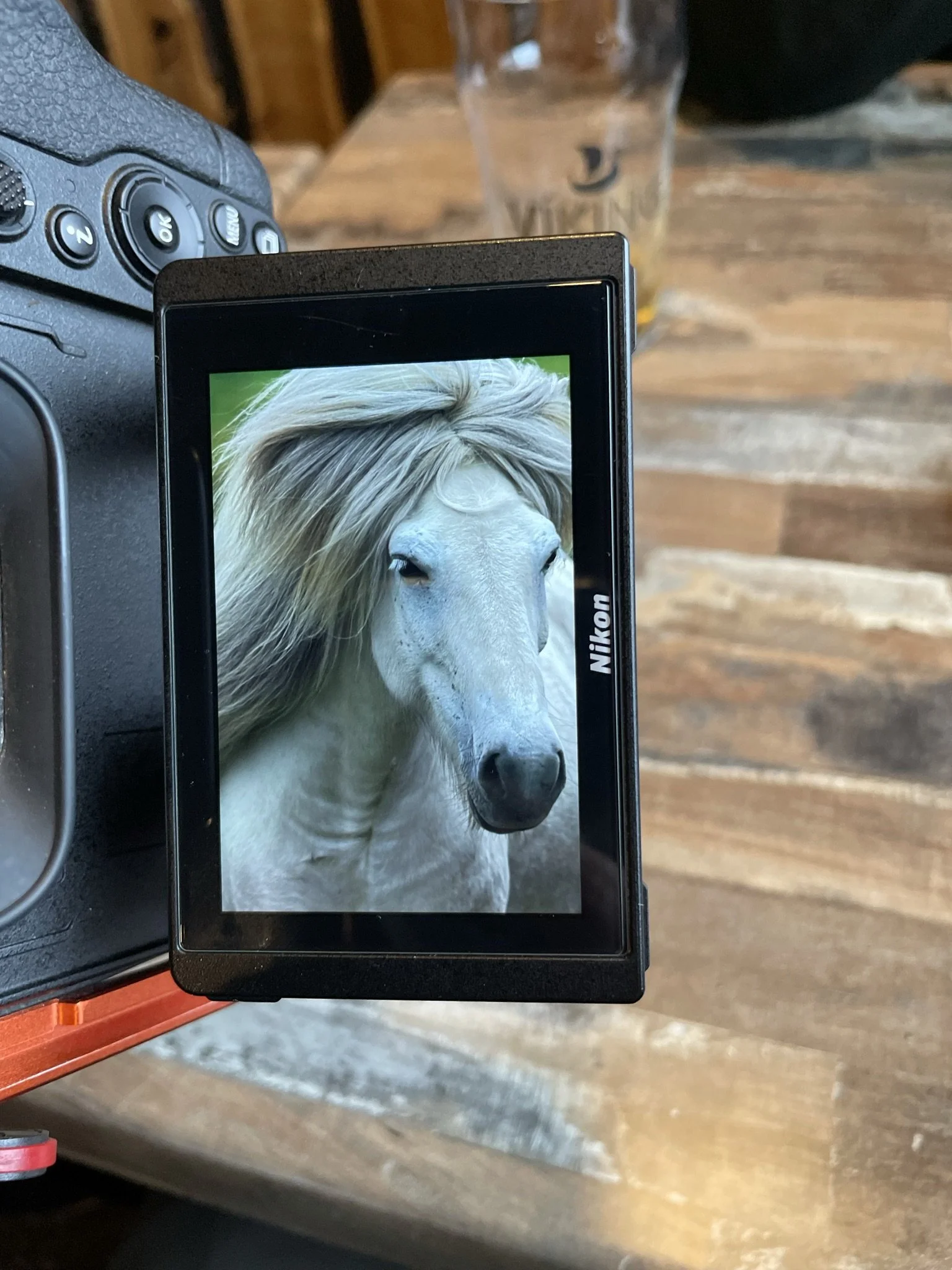 Digital camera screen showing a close-up photo of a white horse with a flowing mane.