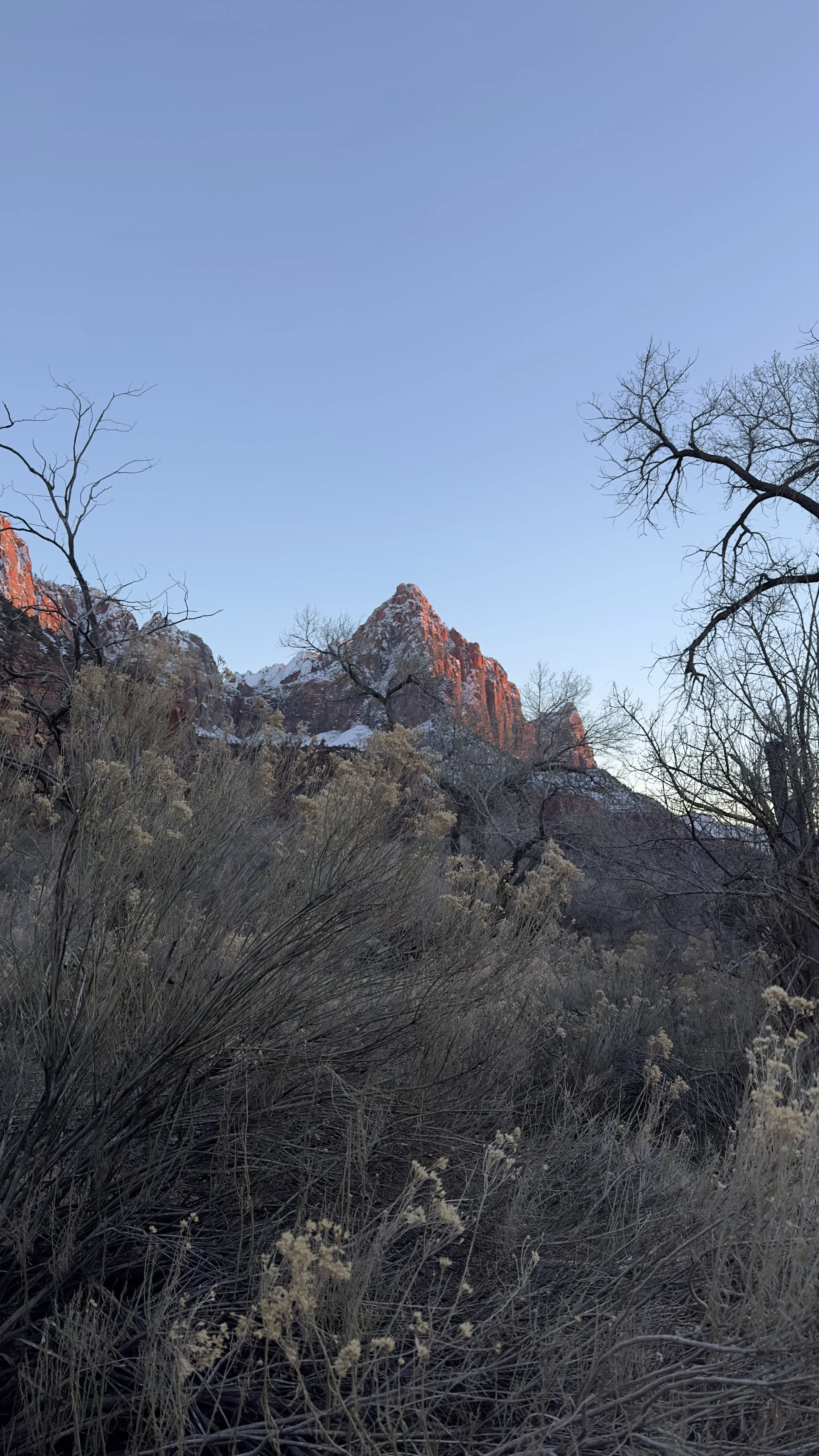 Sunset illuminating rocky mountain peaks with sparse trees and dry vegetation in the foreground.