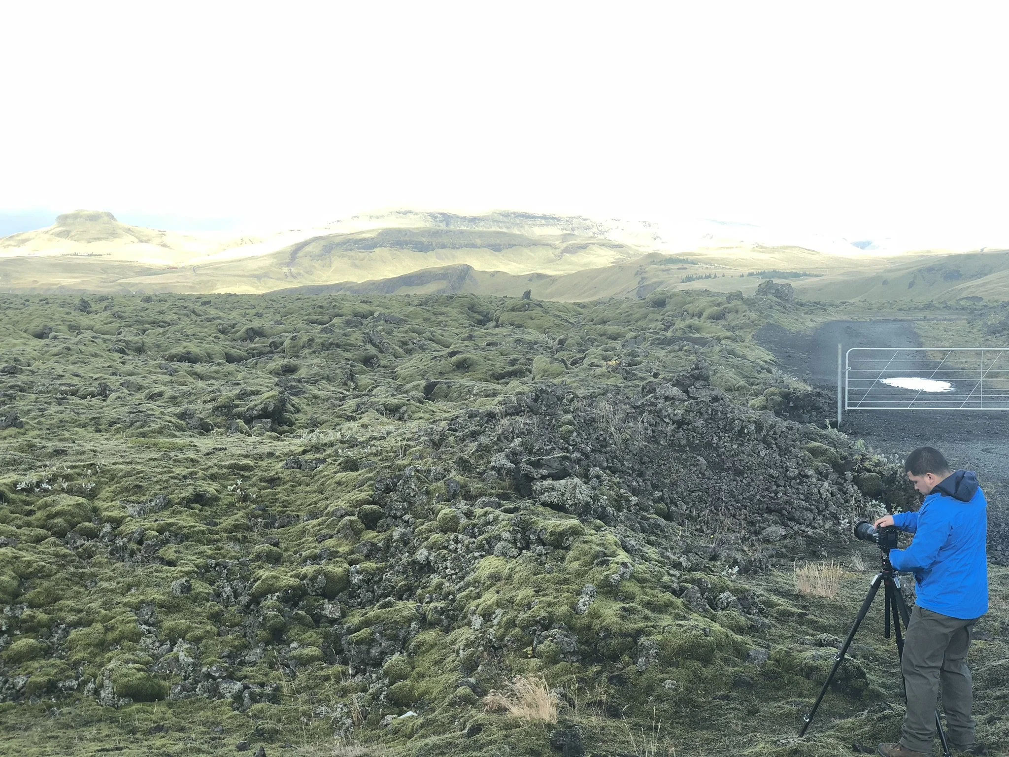 Person in a blue jacket takes photos of a moss-covered volcanic landscape with mountains in the background and a metal gate in the scene.