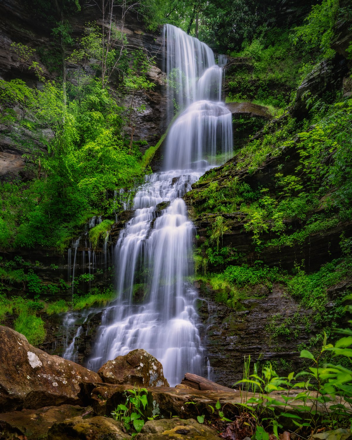 Cathedral Falls in West Virginia: Majestic Waterfall, Lush Greenery, Scenic Natural Beauty
  Waterfalls  
