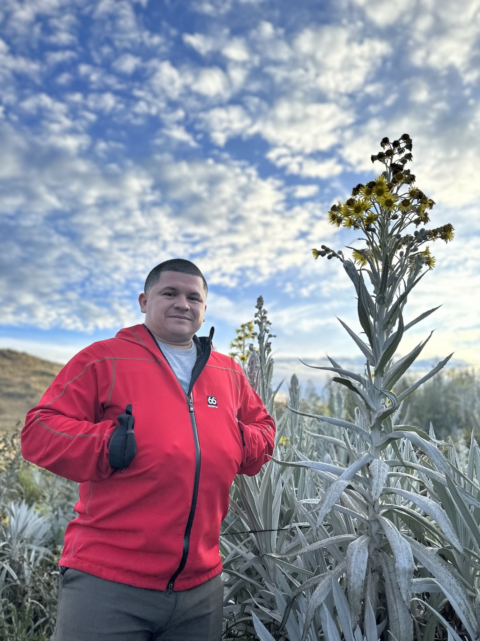 A man in a red jacket standing outdoors among tall, grayish-green plants with a blue sky and scattered clouds in the background.