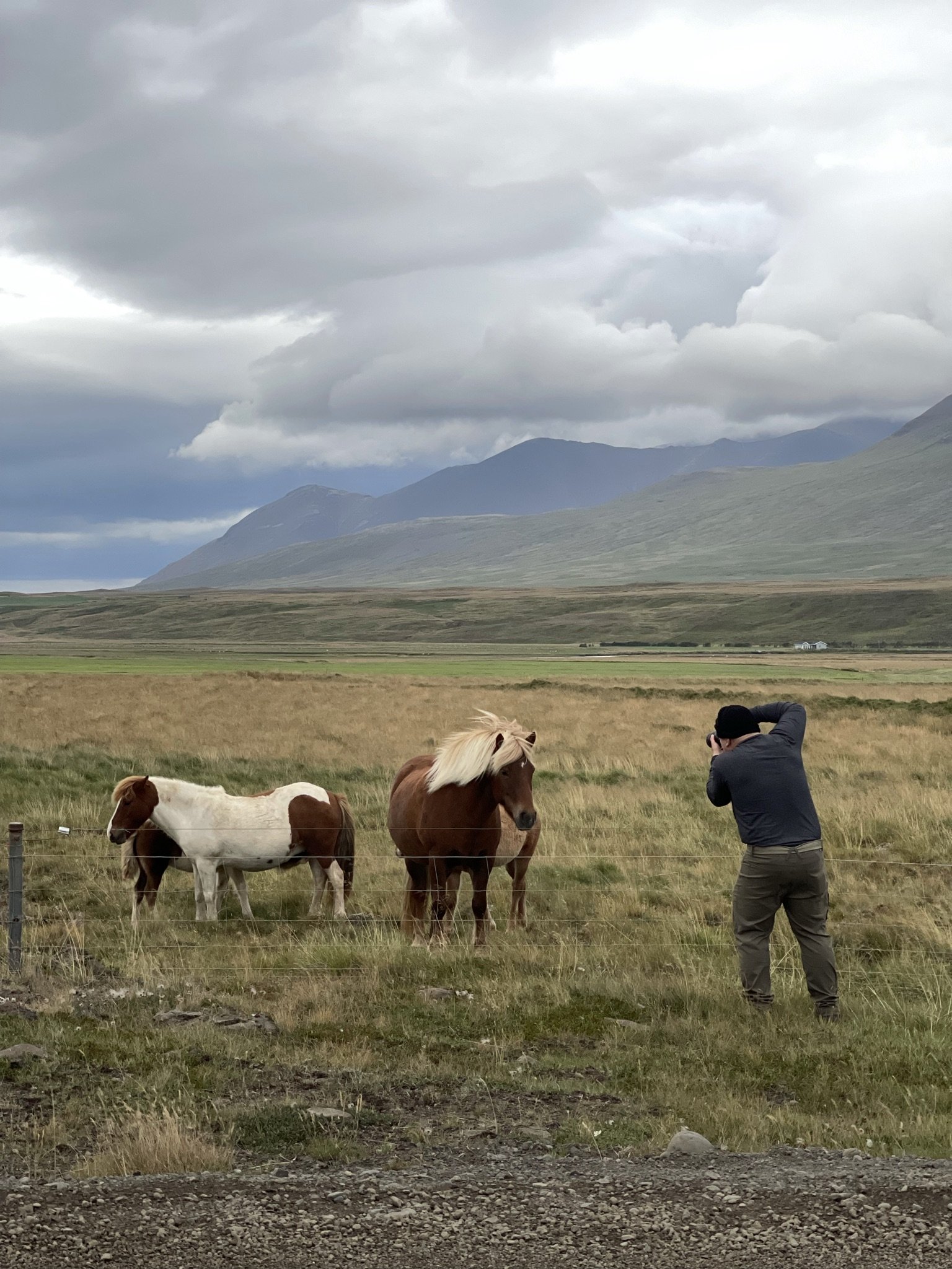 A person taking a photo of two horses in a field with mountains and cloudy sky in the background.