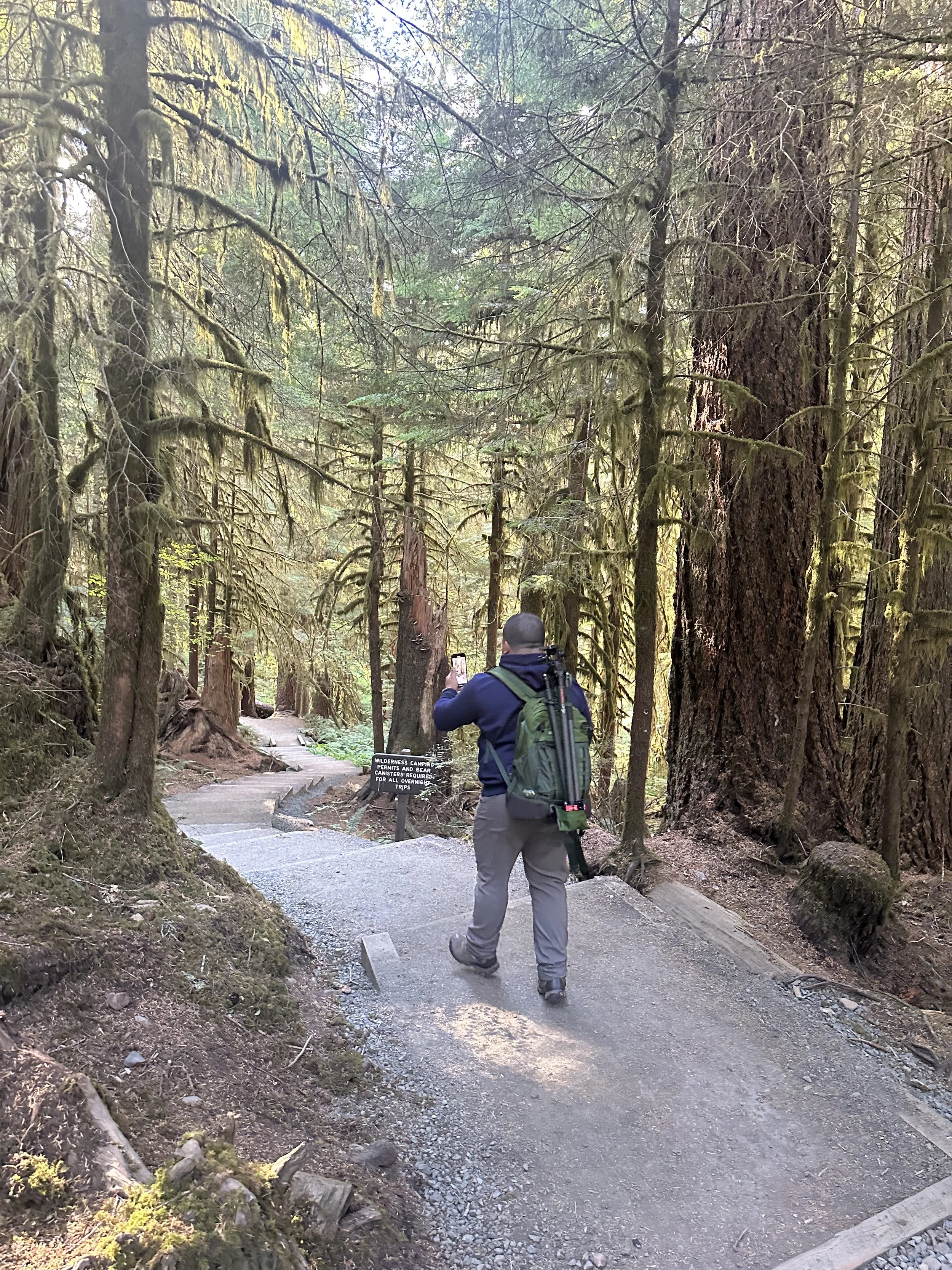 Melser with a backpack taking a photo in a forest with tall trees and a trail.