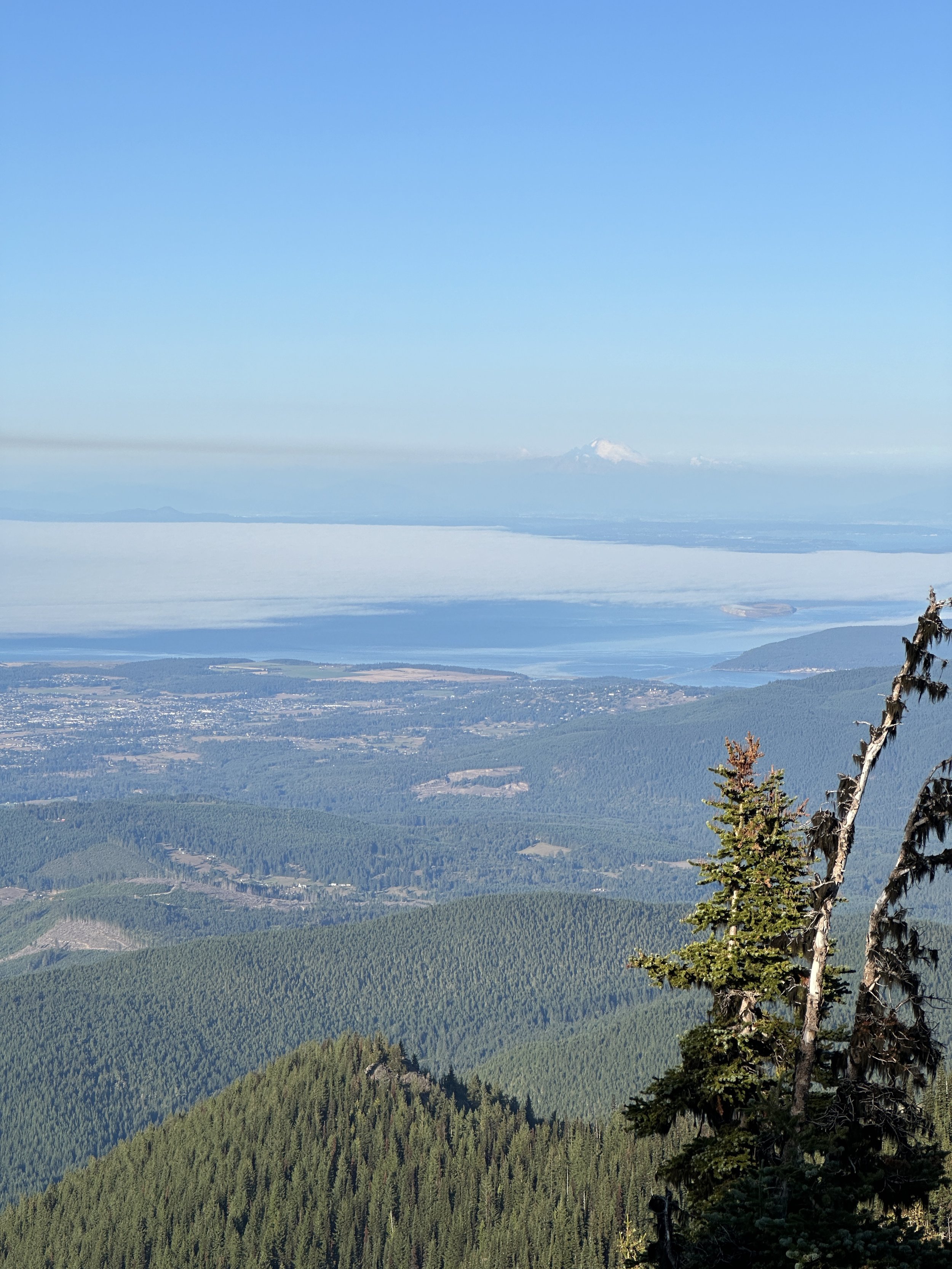 A scenic view from a mountain overlooking a vast forest, a large body of water, and distant snow-capped mountains under a clear blue sky.