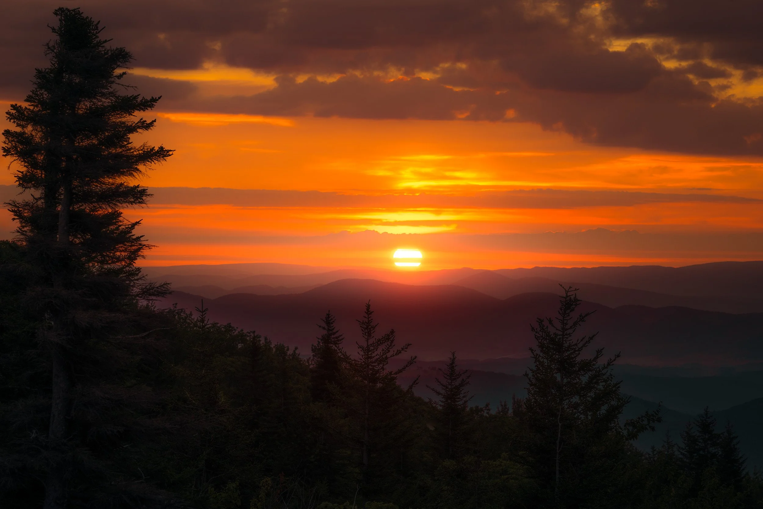 A breathtaking golden sunrise over the rolling hills of Dolly Sods, West Virginia, capturing the vibrant colors and serene atmosphere of the early morning landscape.
  Atmospheric, Golden Hour, Light  