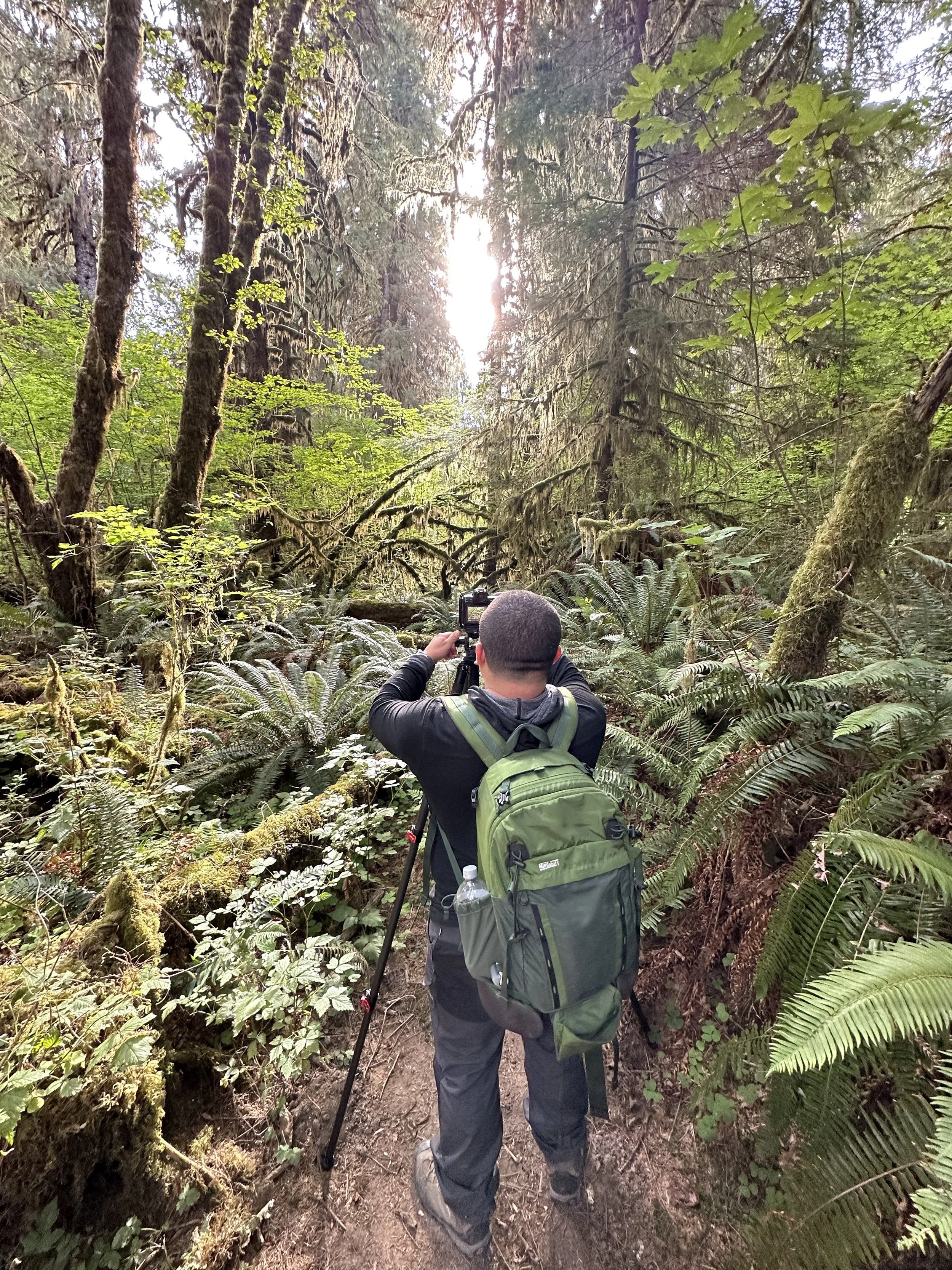 A person with a backpack and camera on a tripod taking photos in a dense forest with tall trees and lush green foliage.