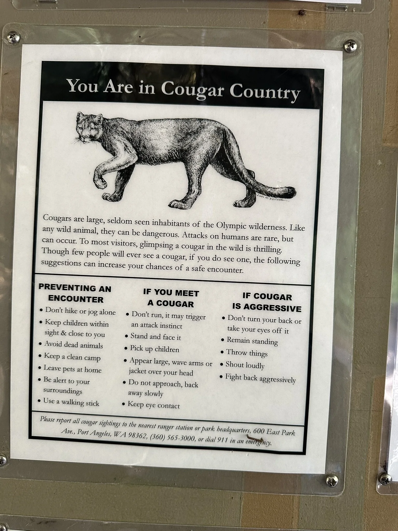 Informational sign about cougars in Cougar Country, with a drawing of a cougar and safety tips for encounters, including preventing an encounter and actions if meeting or if the cougar is aggressive.