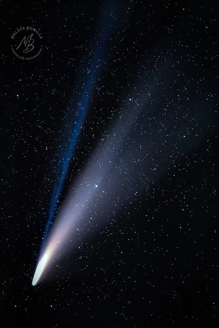 A photograph of a bright comet with a glowing white nucleus and a long blue tail streaking across a starry night sky.