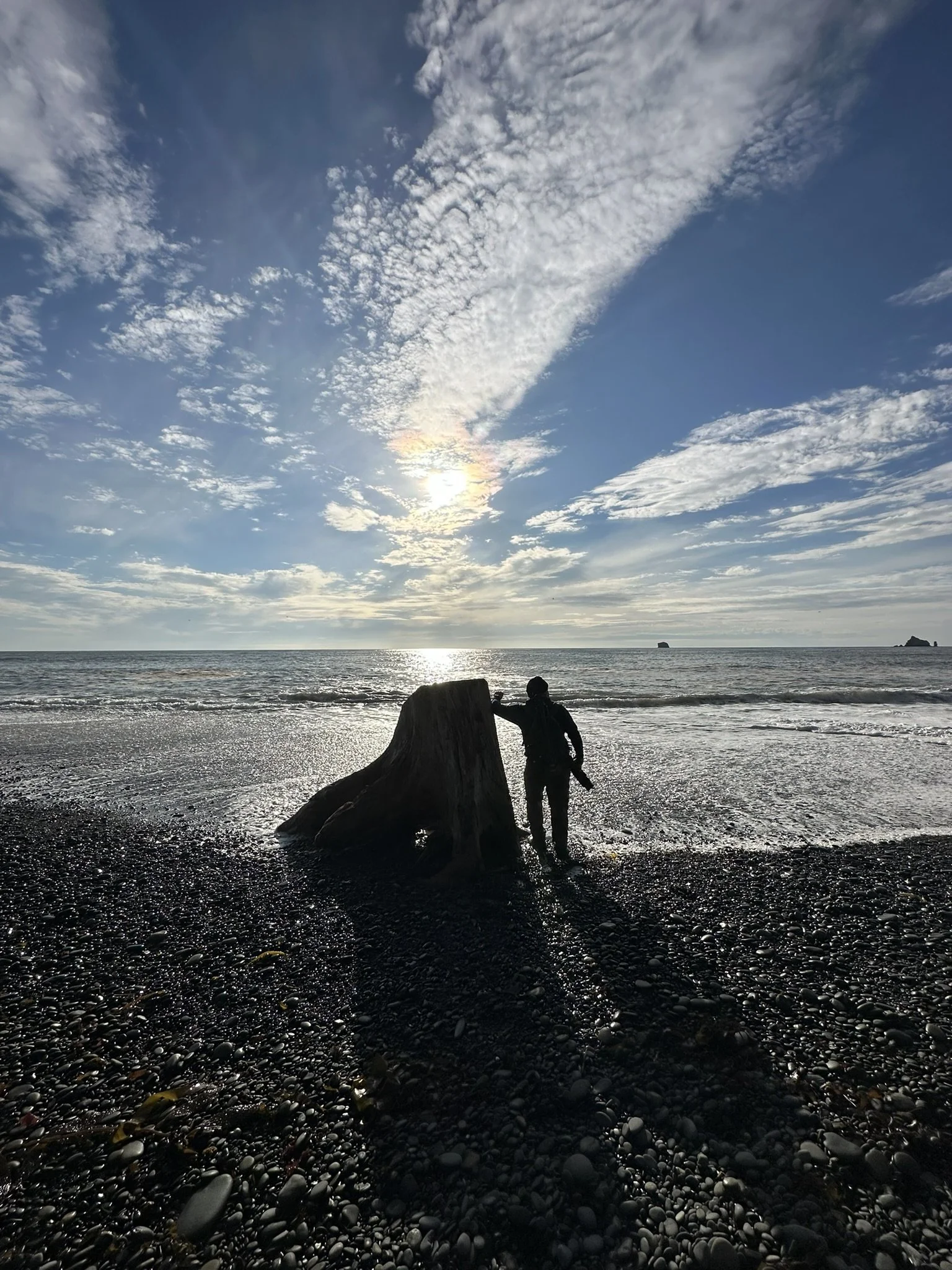 Person standing next to a tree stump on a pebble beach, with the ocean and a partly cloudy sky during sunset in the background.