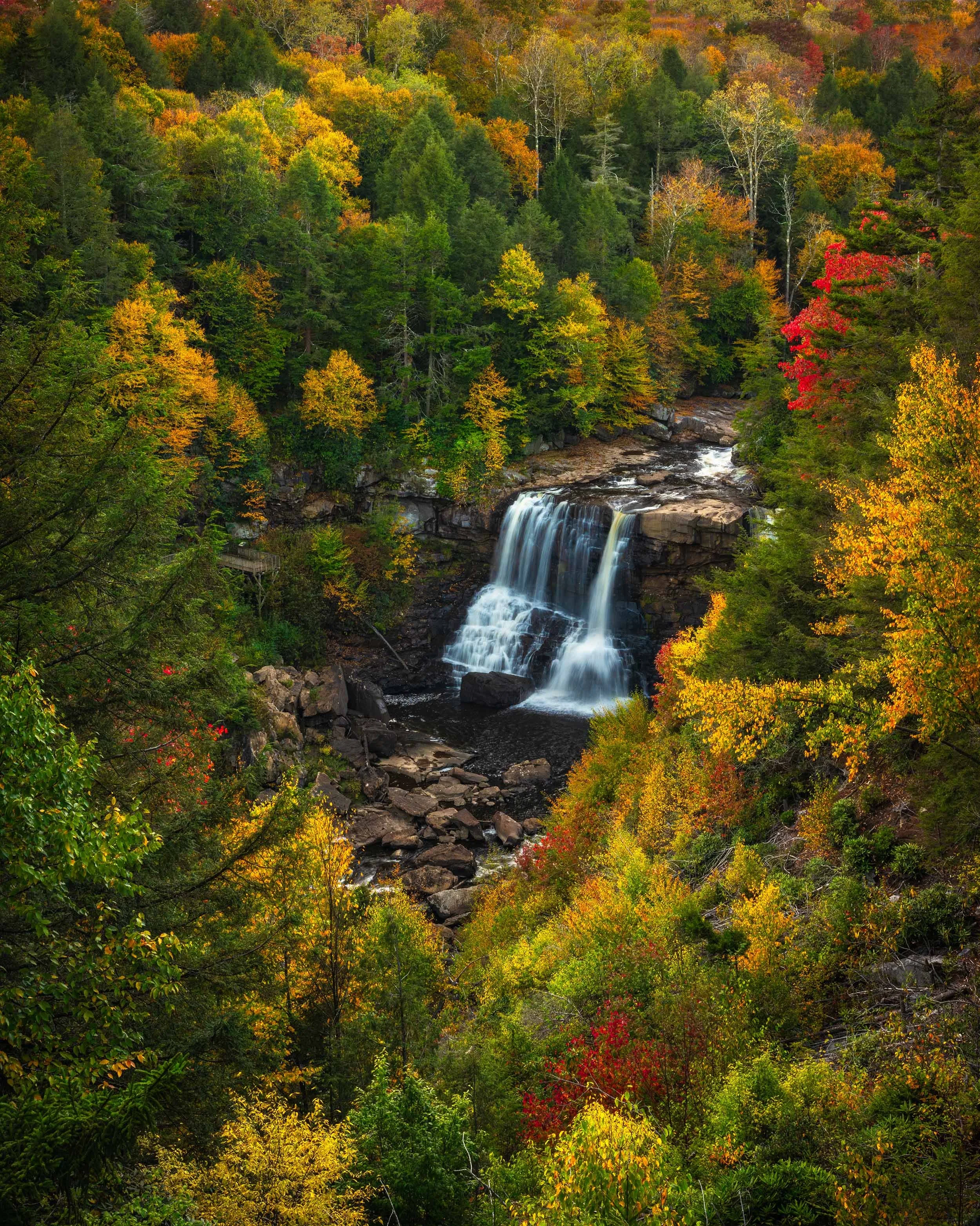 Stunning fall view with the trees beginning to burst into rustic colors! Black Water Falls,WV
  Waterfalls,Autumn,Intimate Landscapes  