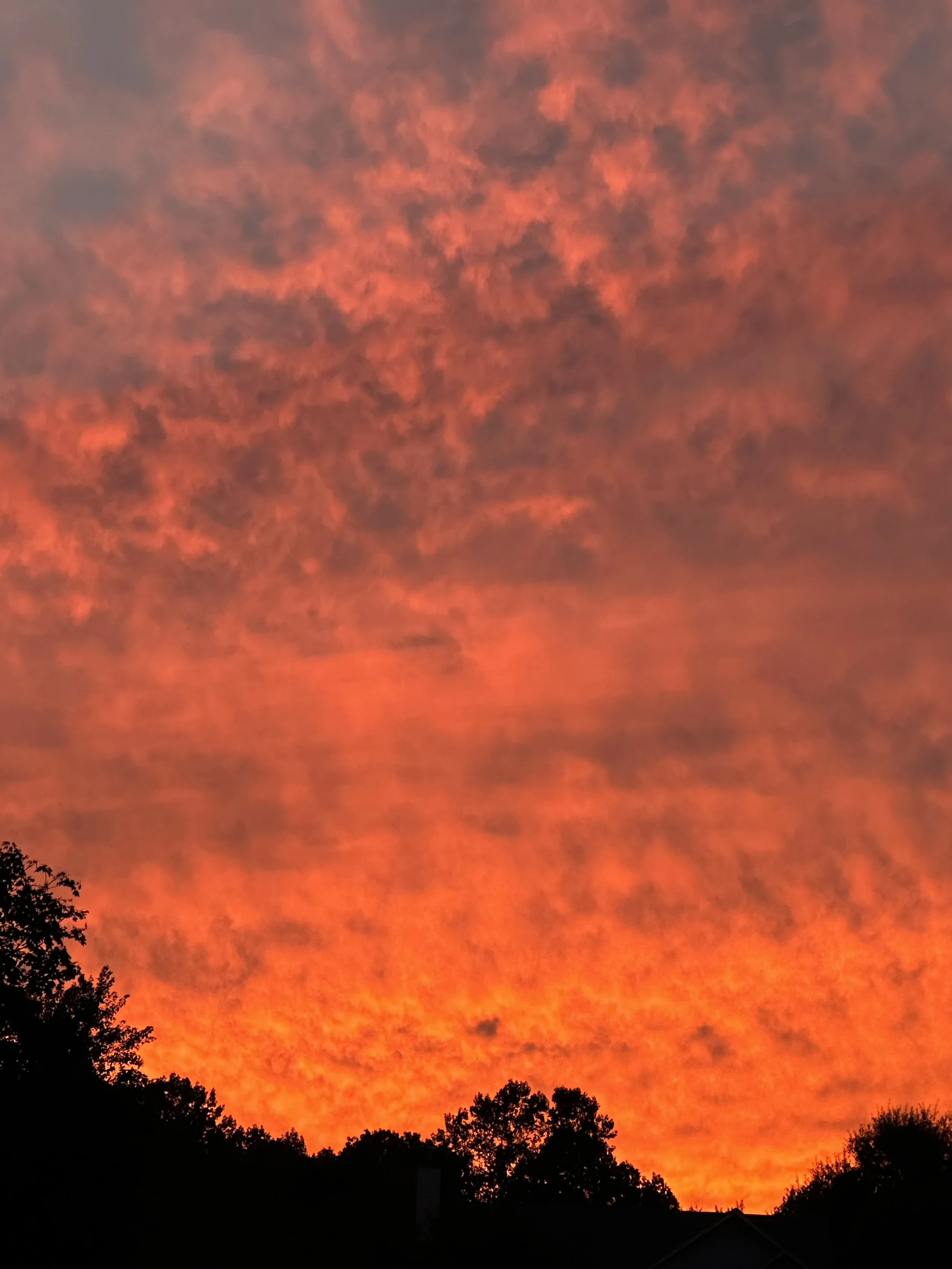 Vivid orange and red sunset sky with scattered clouds, silhouetted trees and rooftops in the foreground.